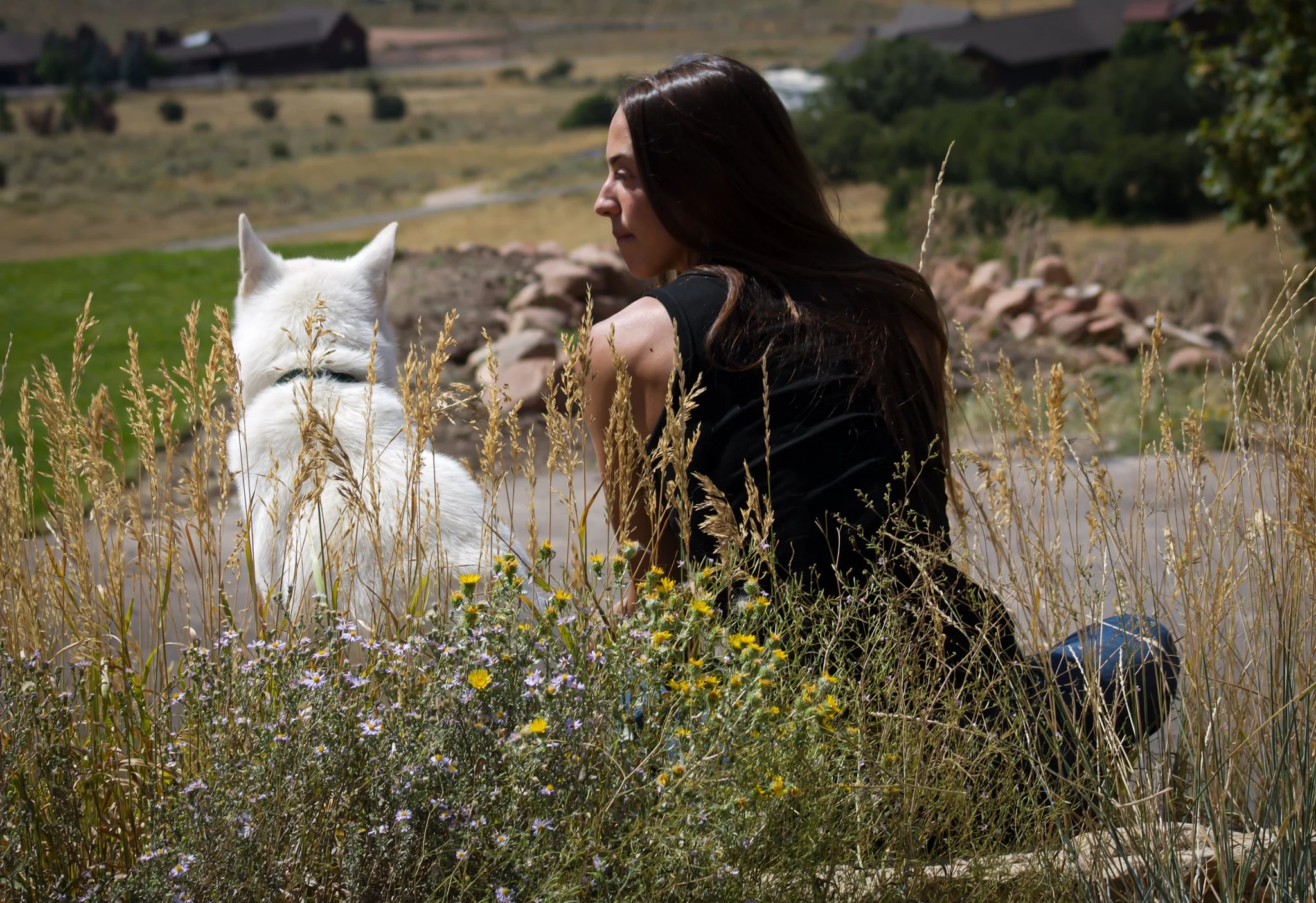 Animal & Human Mediumship