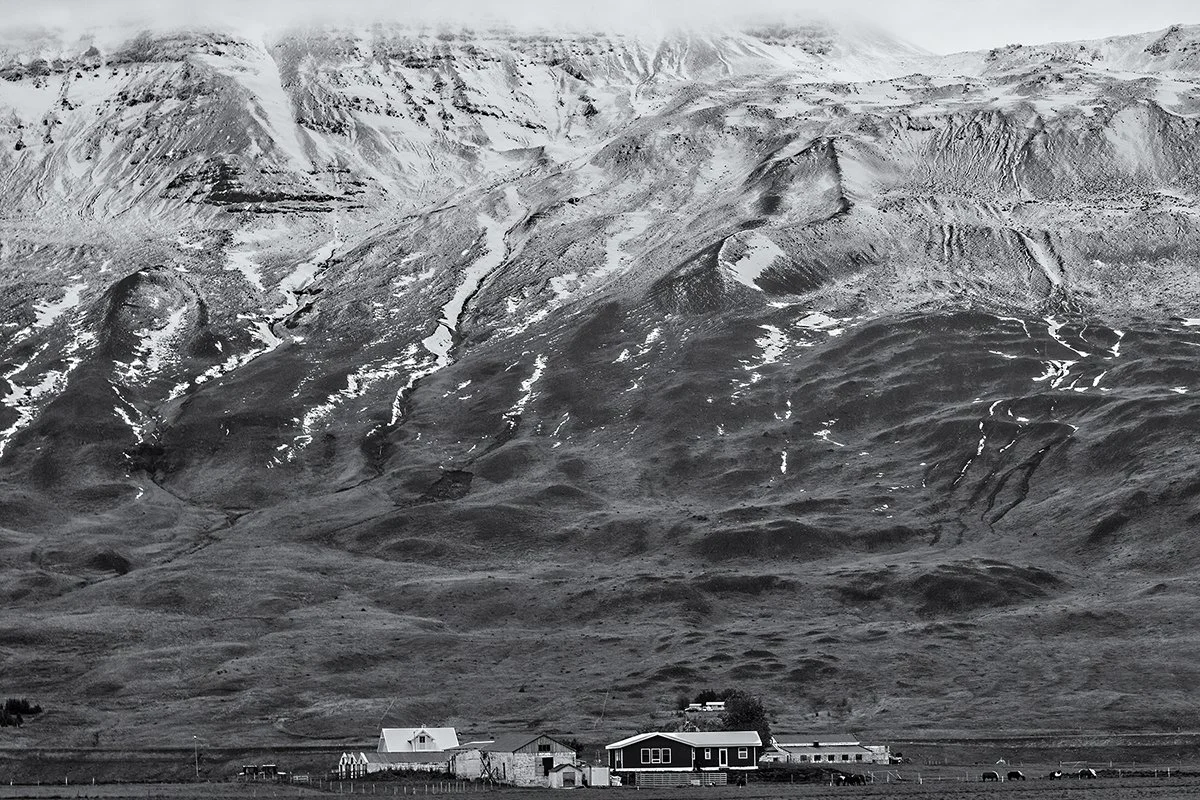 Northern Iceland Farm