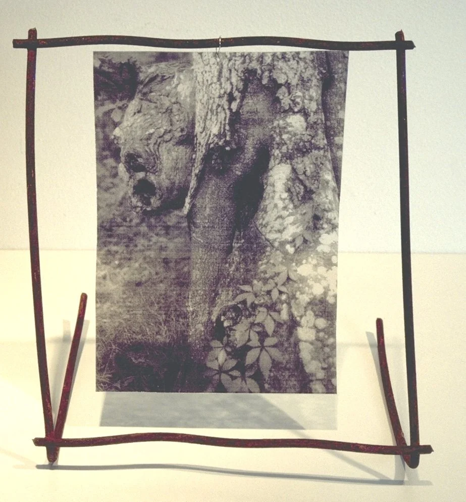 Beauty and the Beast