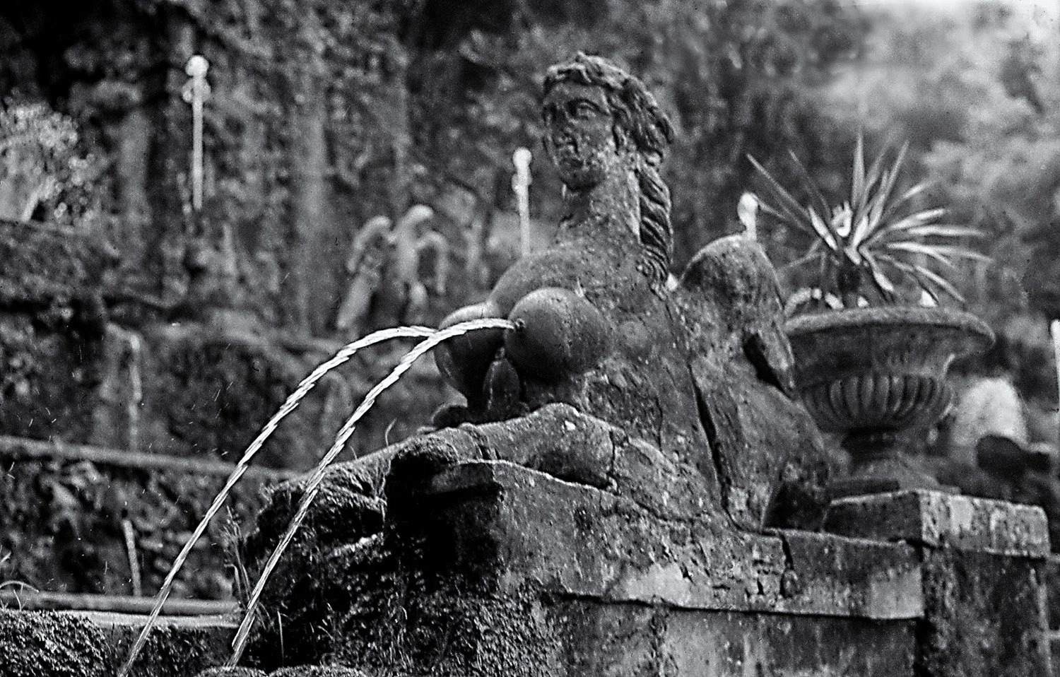 Tiviol  Fountains, Rome
