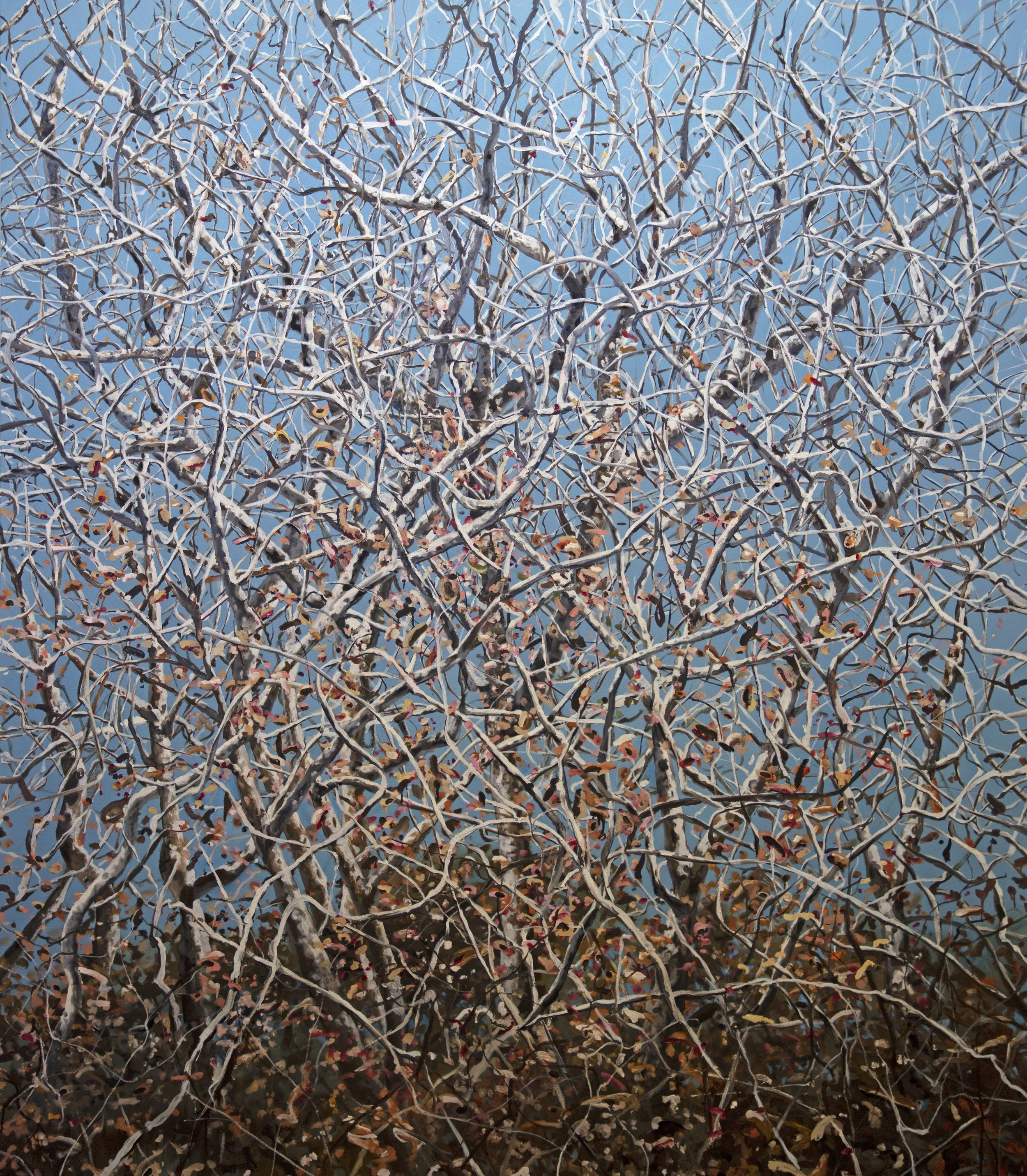 Patience_84x72-4.jpg