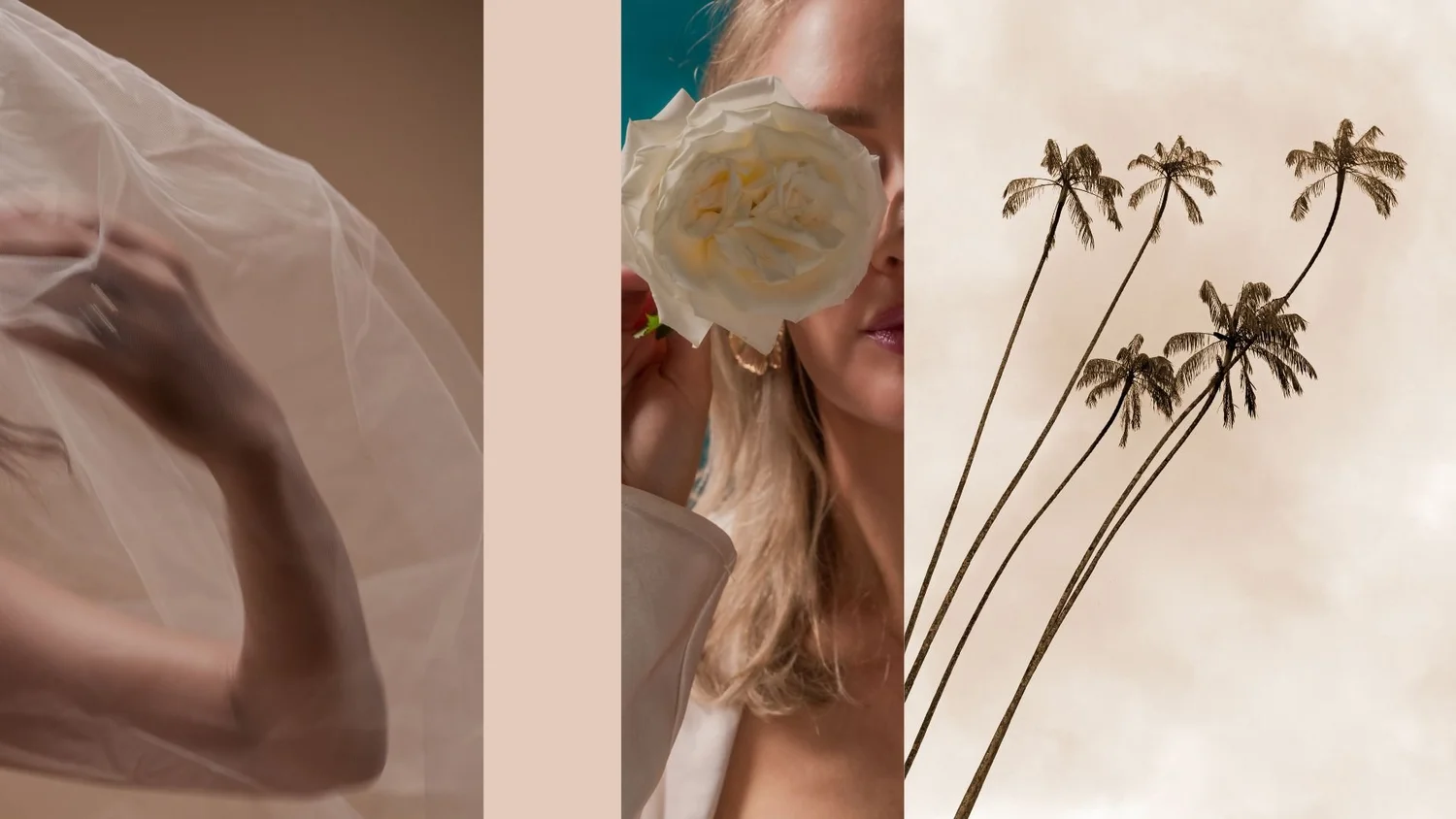 Bespoke Brows, beauty salon in La Mesa
