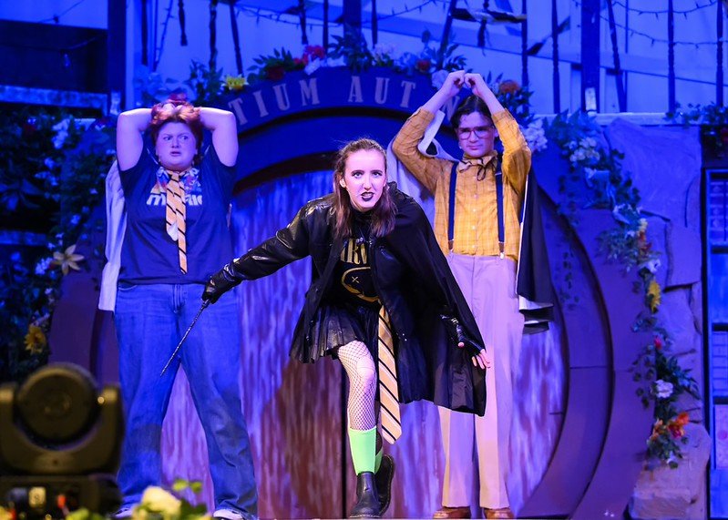 Reviews: Puffs, or Seven Increasingly Eventful Years at Certain School of Magic and Magic Young Wizard Edition at Westfield High School