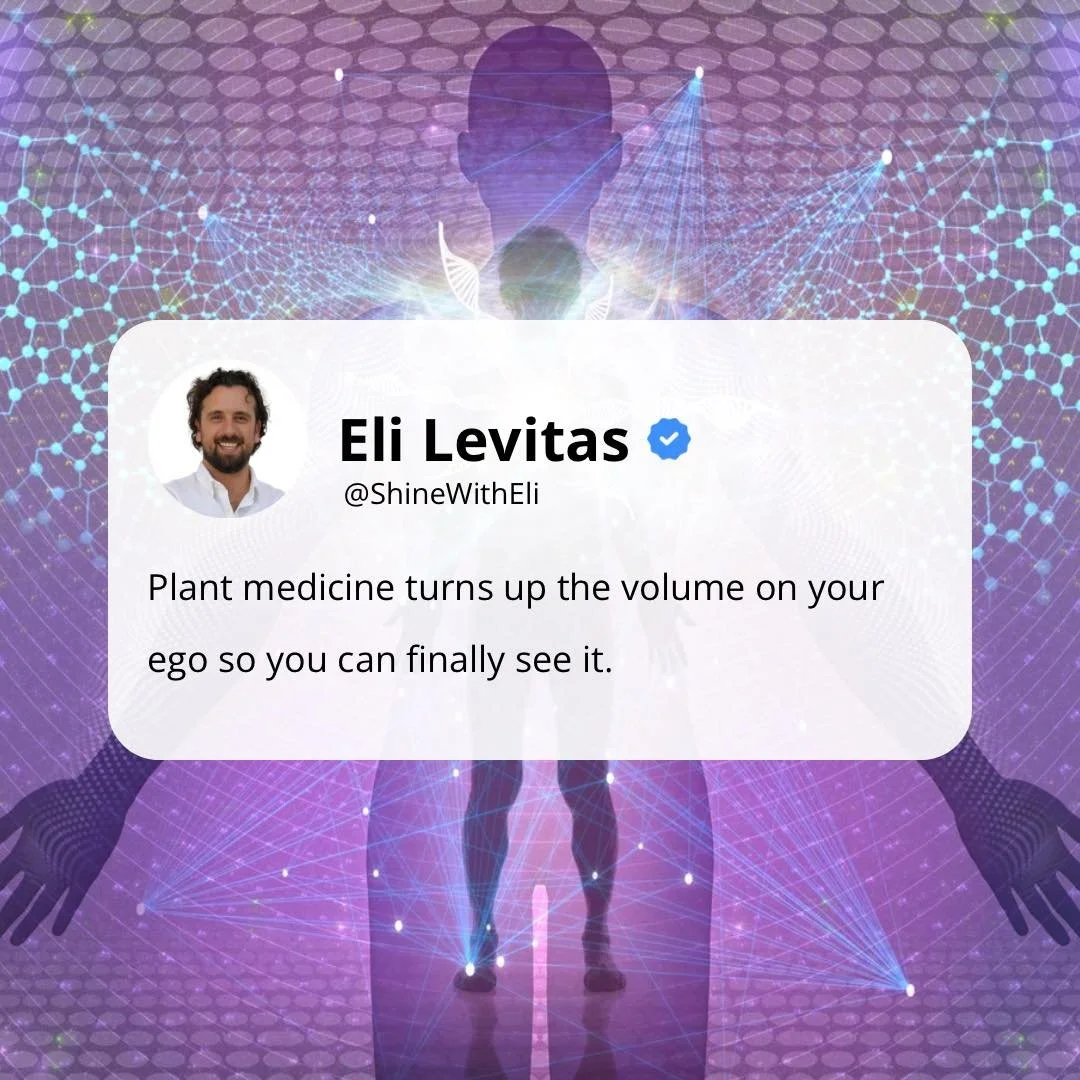 Send this to someone doing the work.
#innerhealing #psychedelic