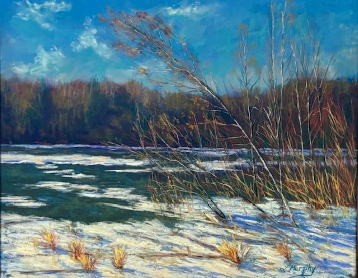 Honorable Mention, Linda Murphy "Hope of Spring" “The surprising bent tree sets up a narrative for the harshness of winter.  The artist’s use of the white lines beautifully sets the trunks and branches off against a darker background.”