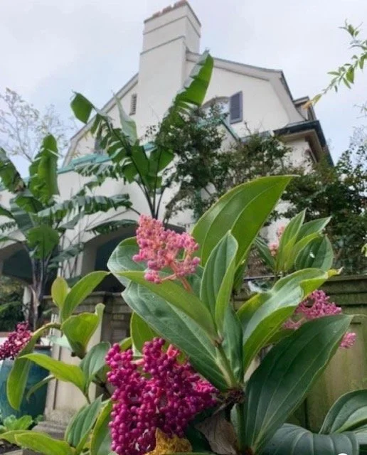 Plein Air at Chanticleer