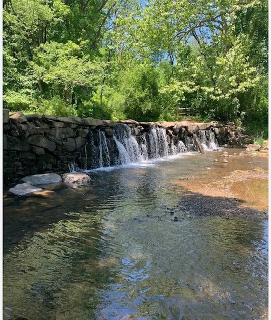 Plein Air at Newlin Grist Mill