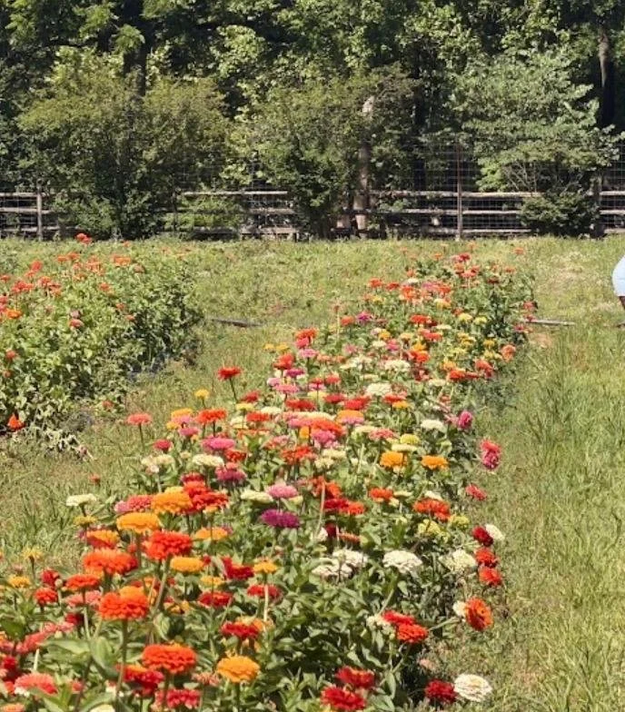 Plein Air Painting at Maple Acres Farm