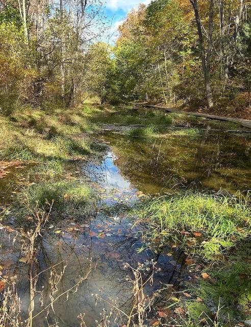 Newlin Grist Mill Plein Air and Auction