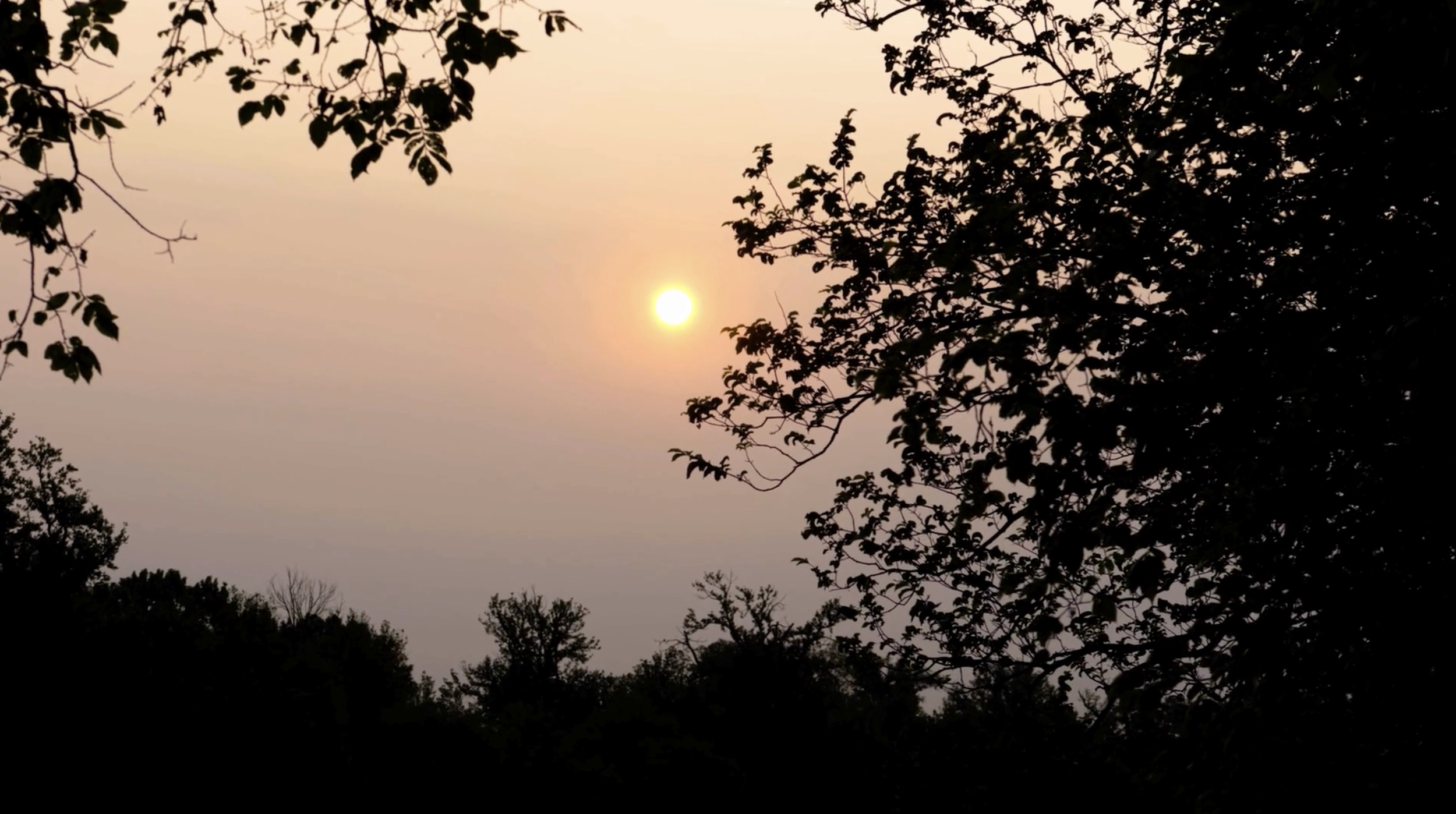 Screenshot 2026-01-27 at 9.03.45 PM.png