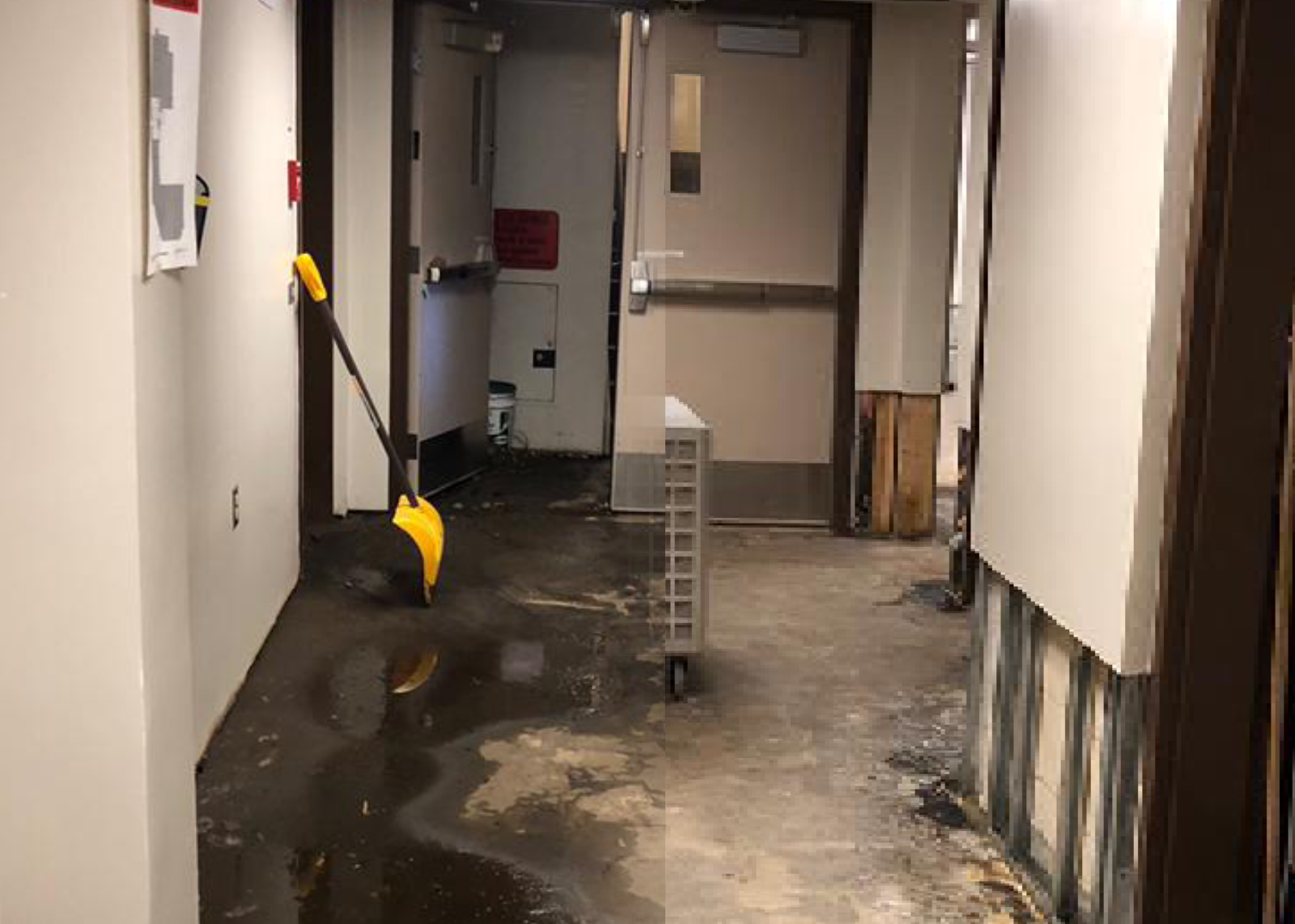 Water Damage — Extraction