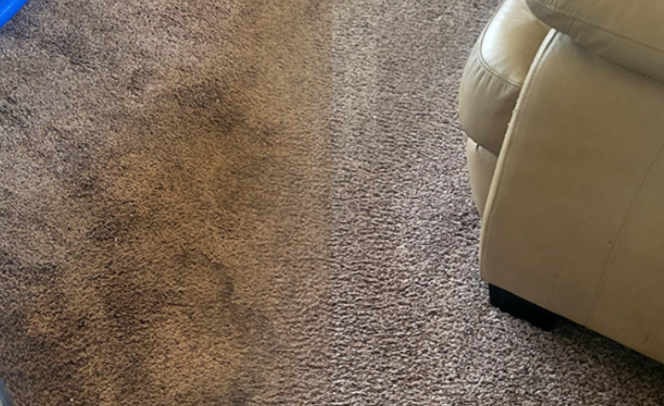 Carpet Restoration — Heavy Traffic