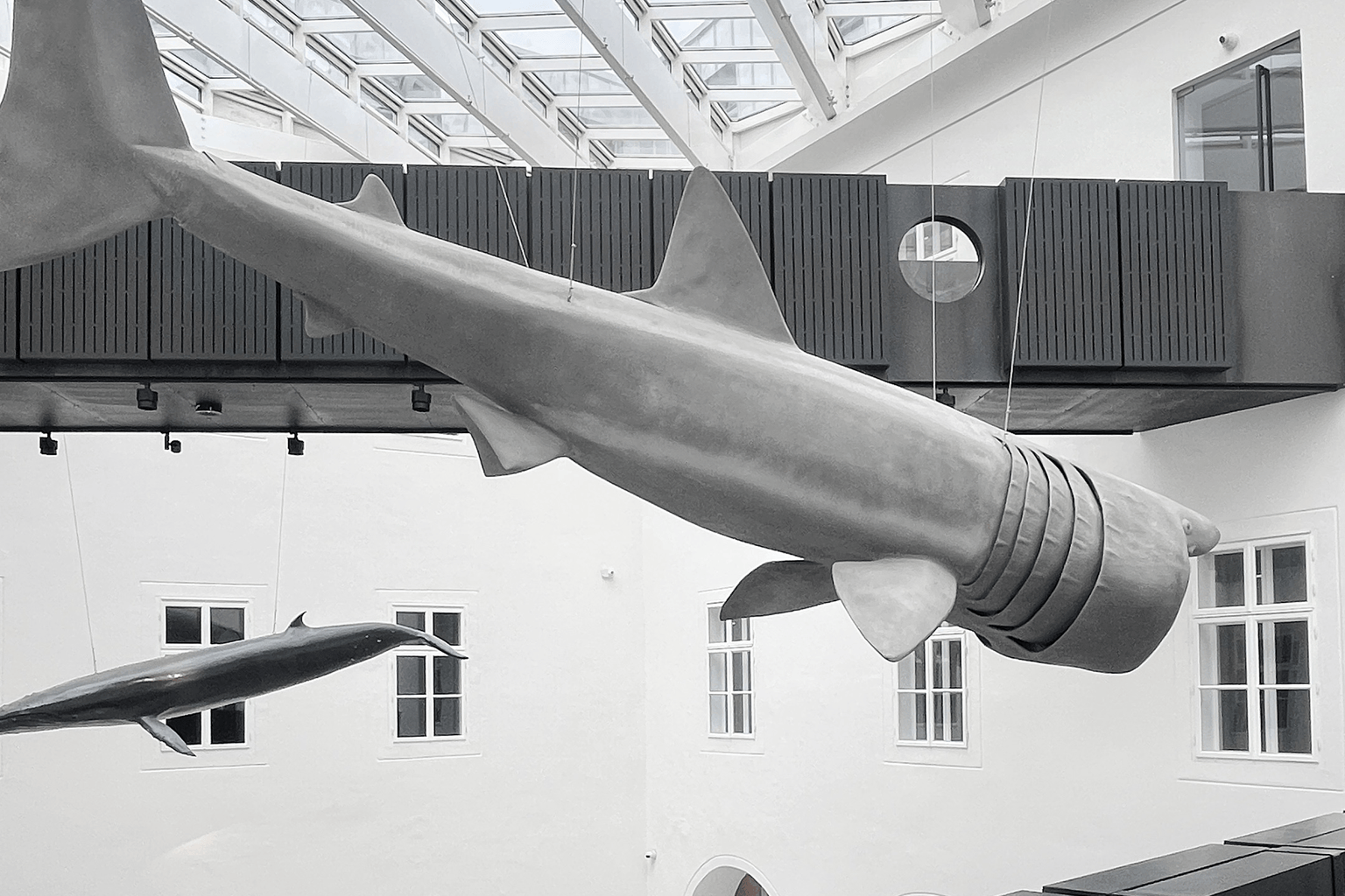 Croatian Natural History Museum