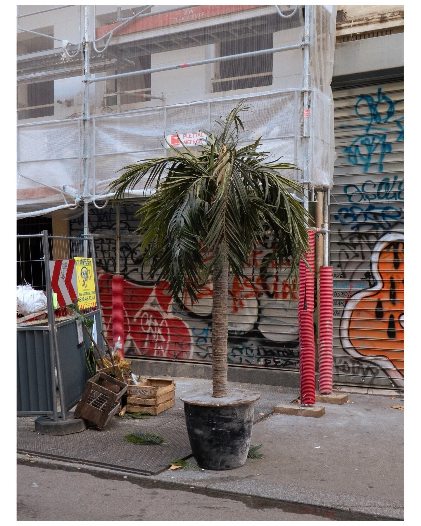 Point+shoot in Paris.