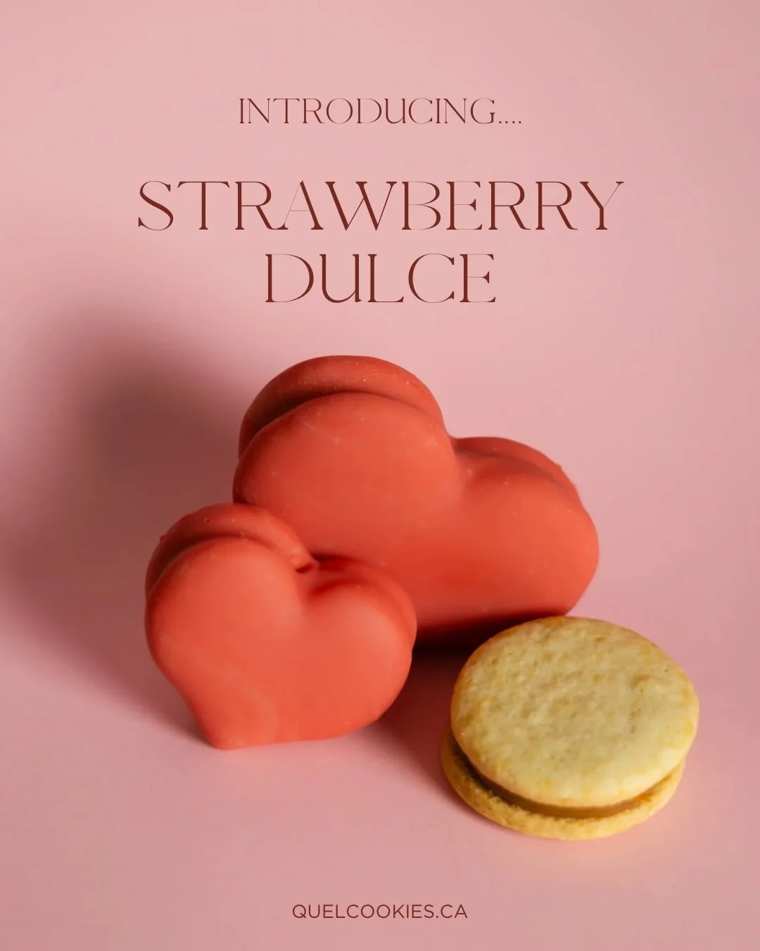🚨 Warning: new obsession unlocked 🚨

Strawberry + Dulce de Leche 🍓🤎

Decadence, perfected. 

For preorders: 🔗 in bio. 

#yyc #yycliving #yycnow #yyccookies #yyycalfajores