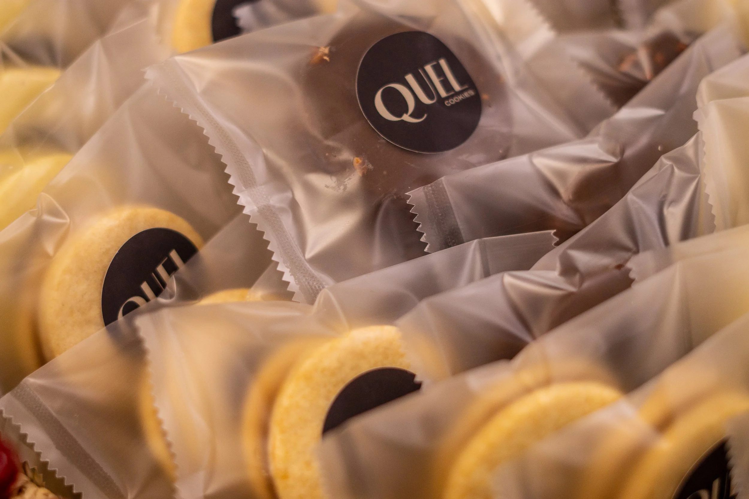 DSC08752-Crossfiled-12.jpg (Copy)