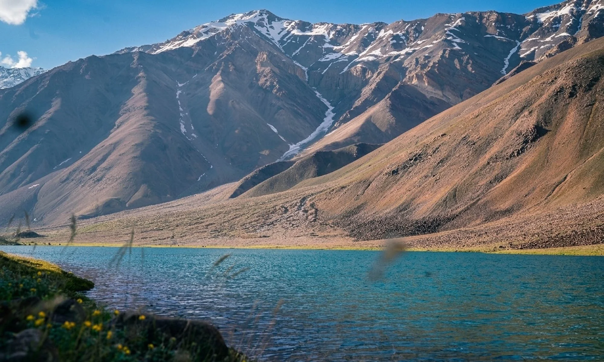 Scenic view of a mountain range with snowy peaks, a lake in the foreground, and some yellow wildflowers near the shore.