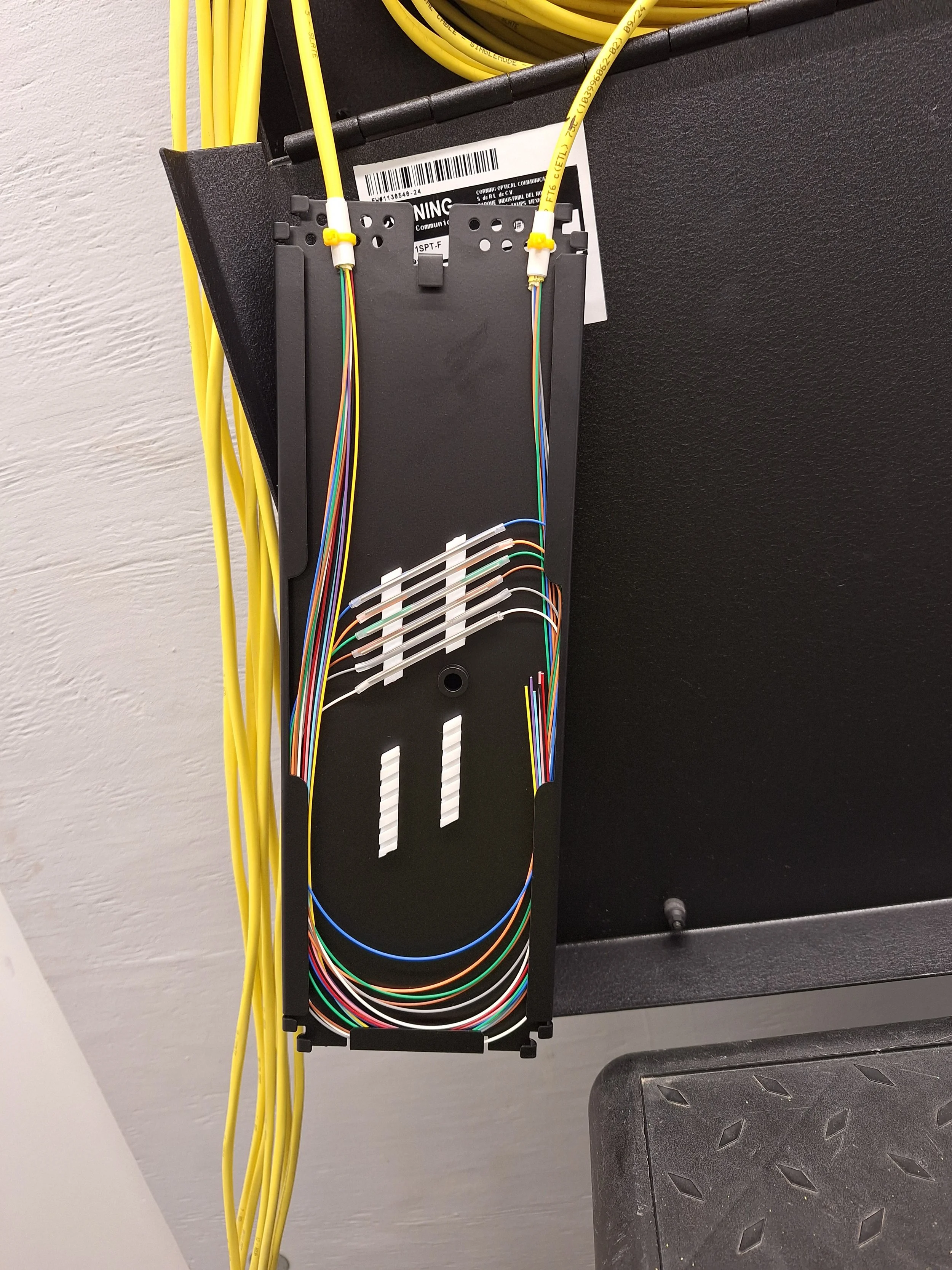 20250107_115732.jpg