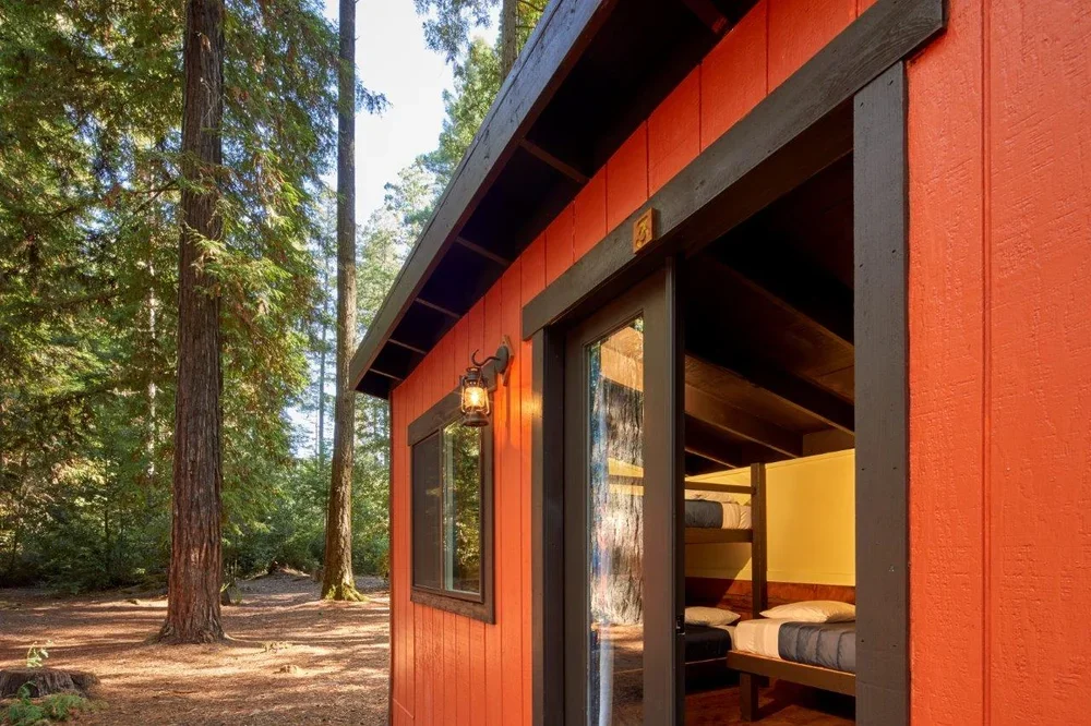 _B7A3313.webp (Copy)