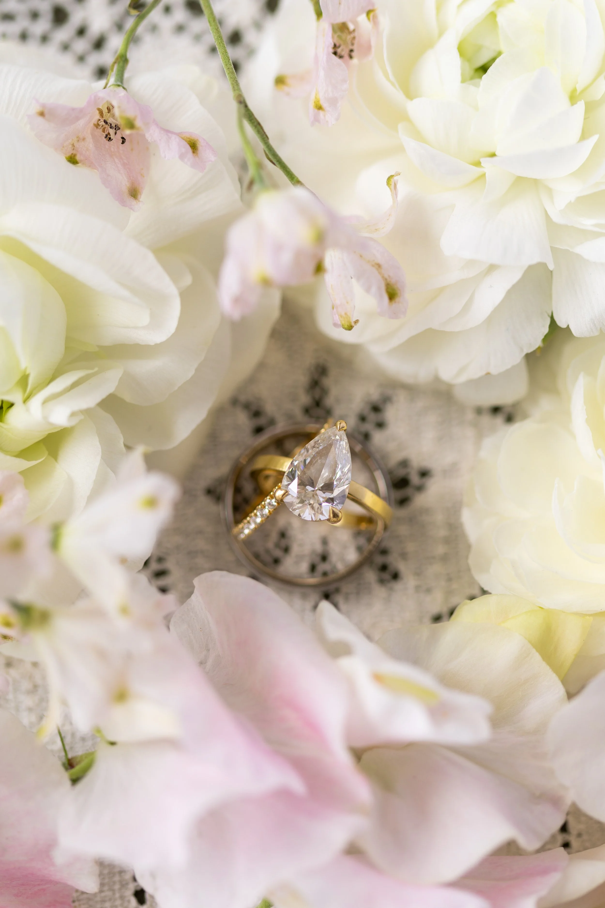 roblar_farm_wedding-2.jpg