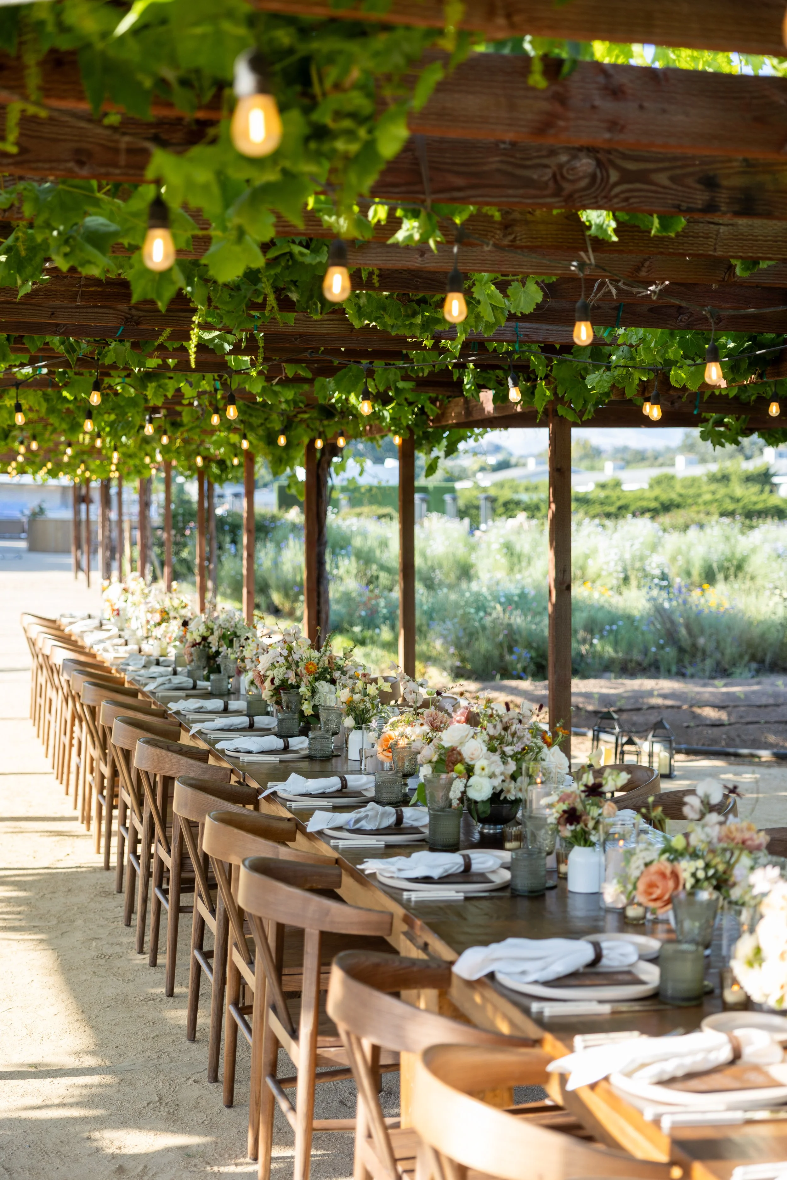 roblar_farm_wedding-104.jpg