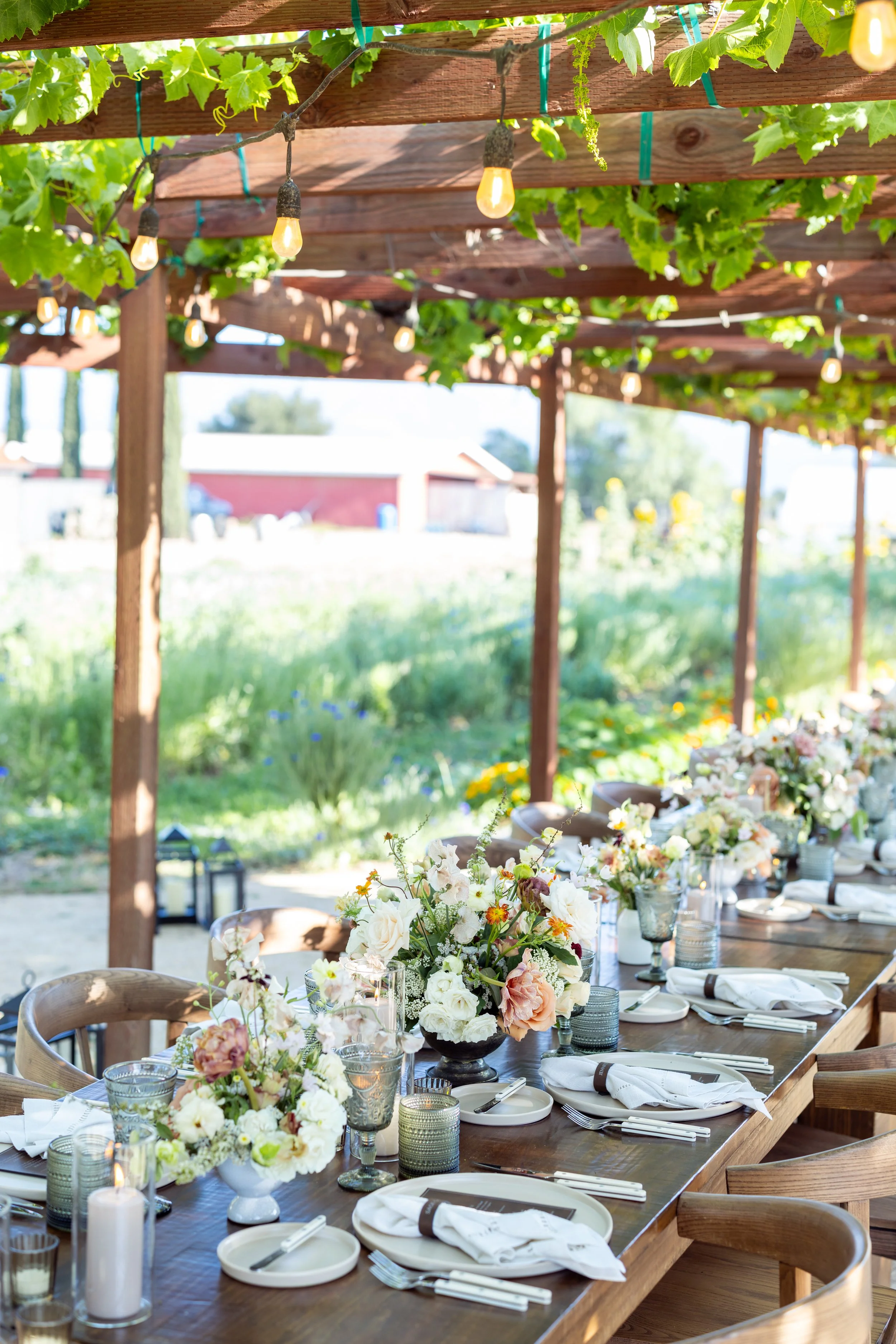 roblar_farm_wedding-100.jpg