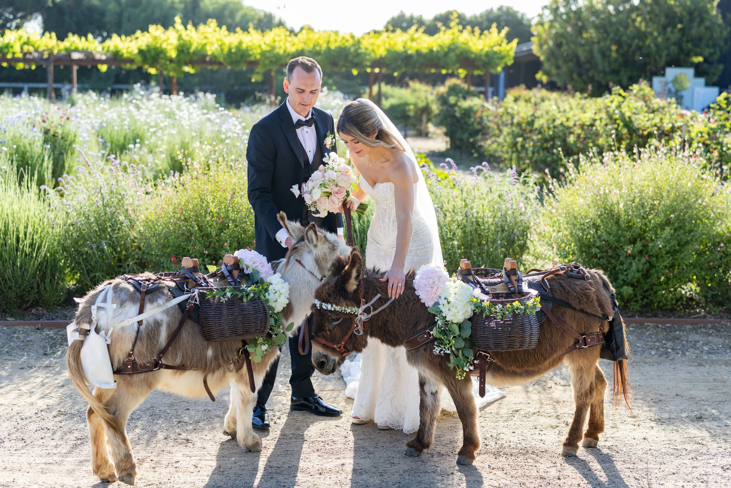 roblar_farm_wedding-48.jpg