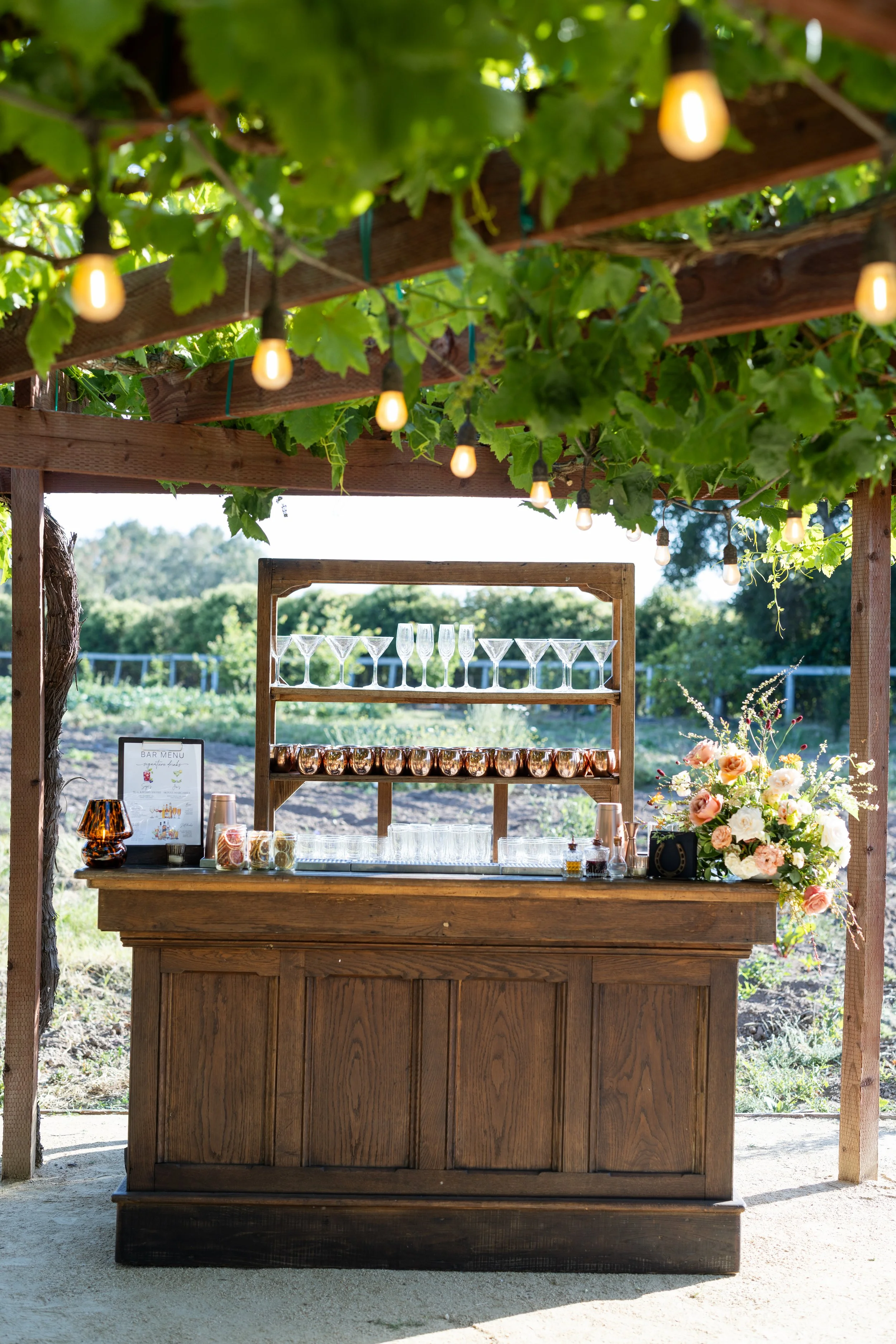 roblar_farm_wedding-99.jpg