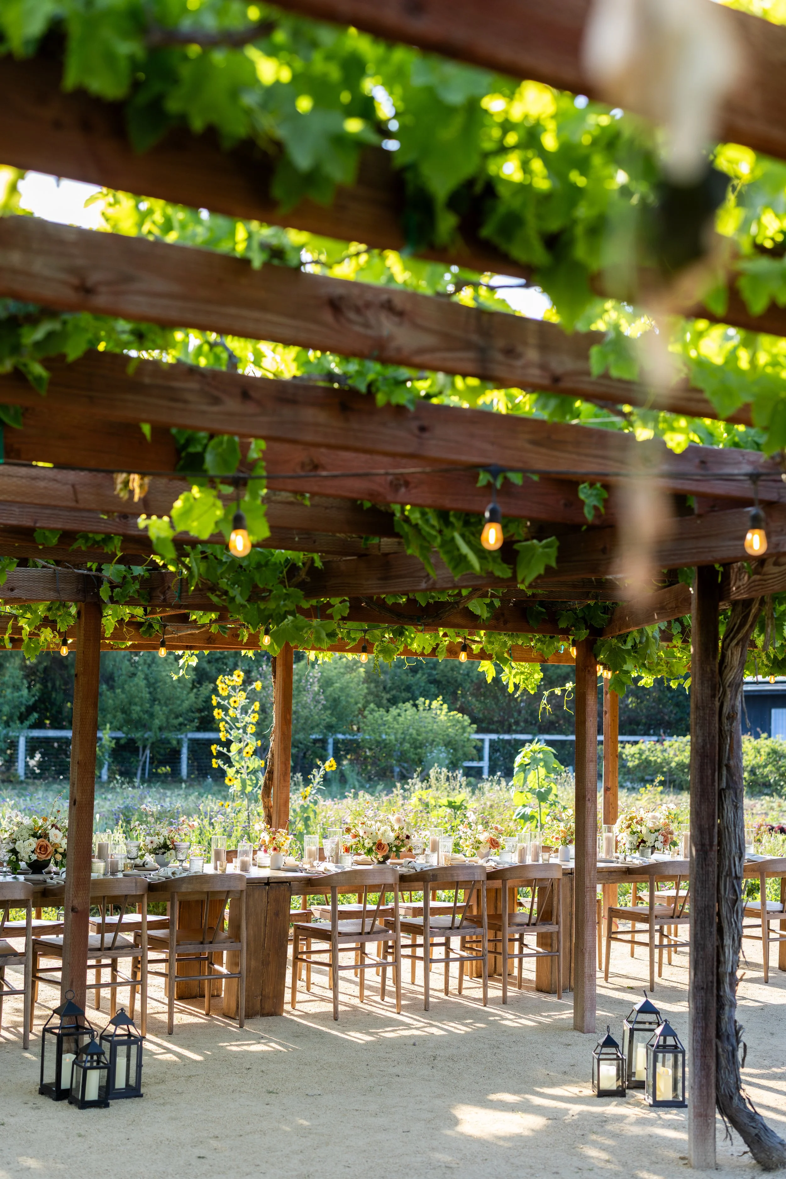 roblar_farm_wedding-106.jpg