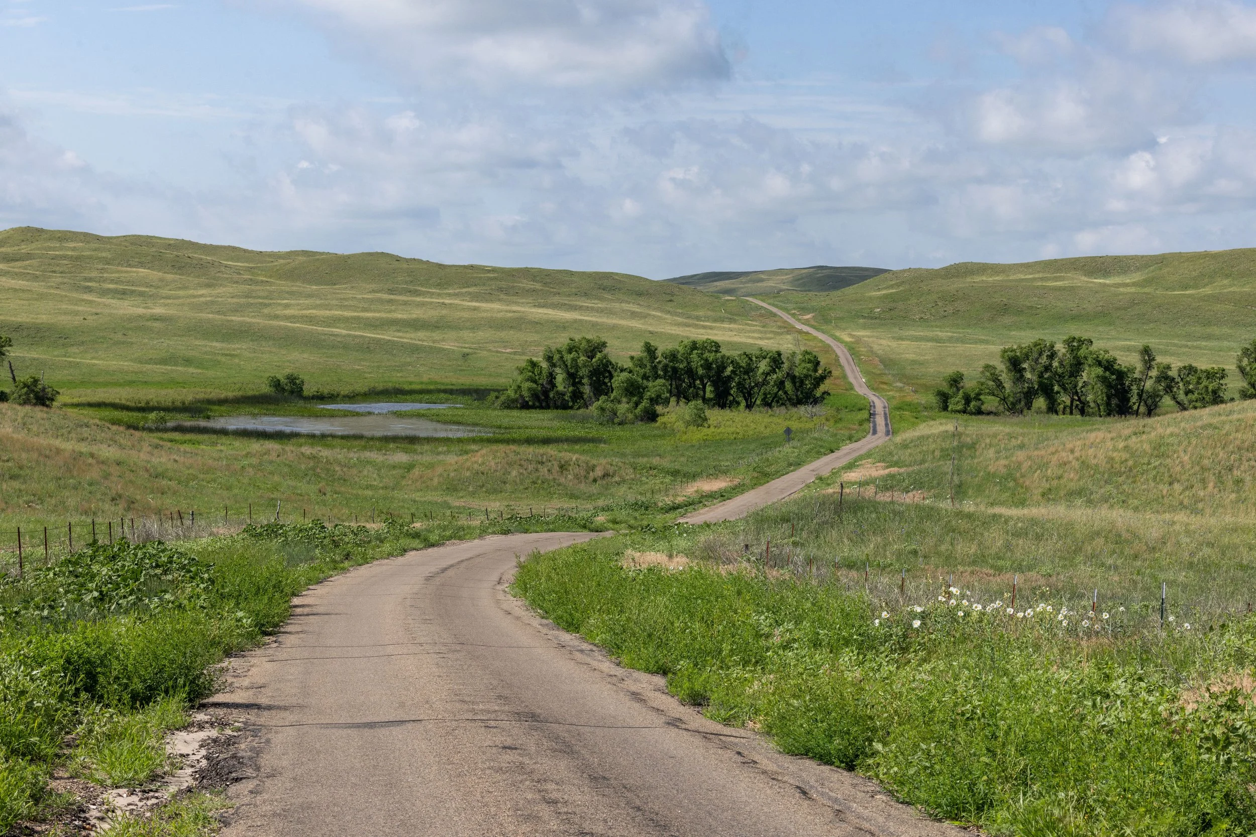 nebraska-2.jpg