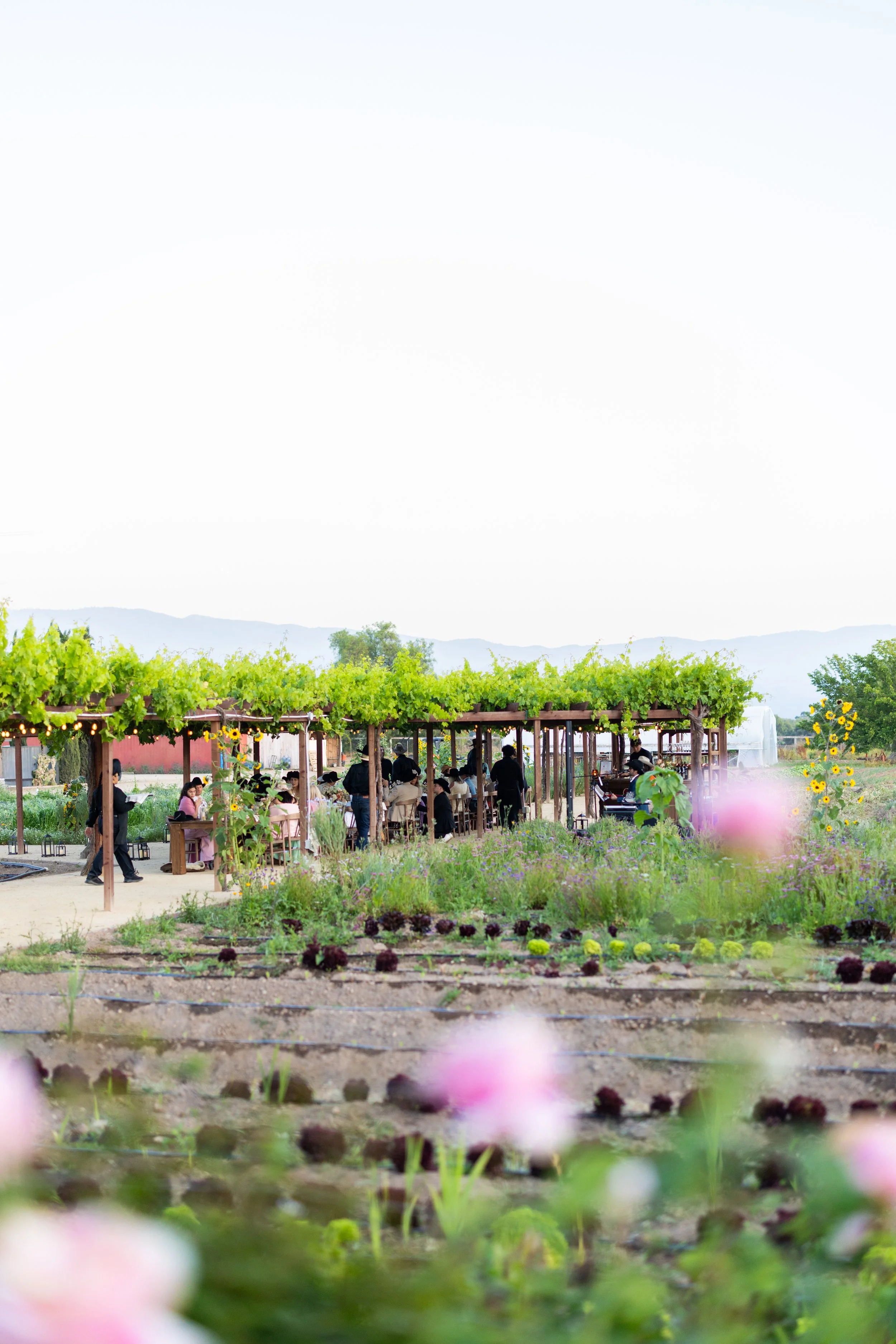 roblar_farm_wedding-138.jpg