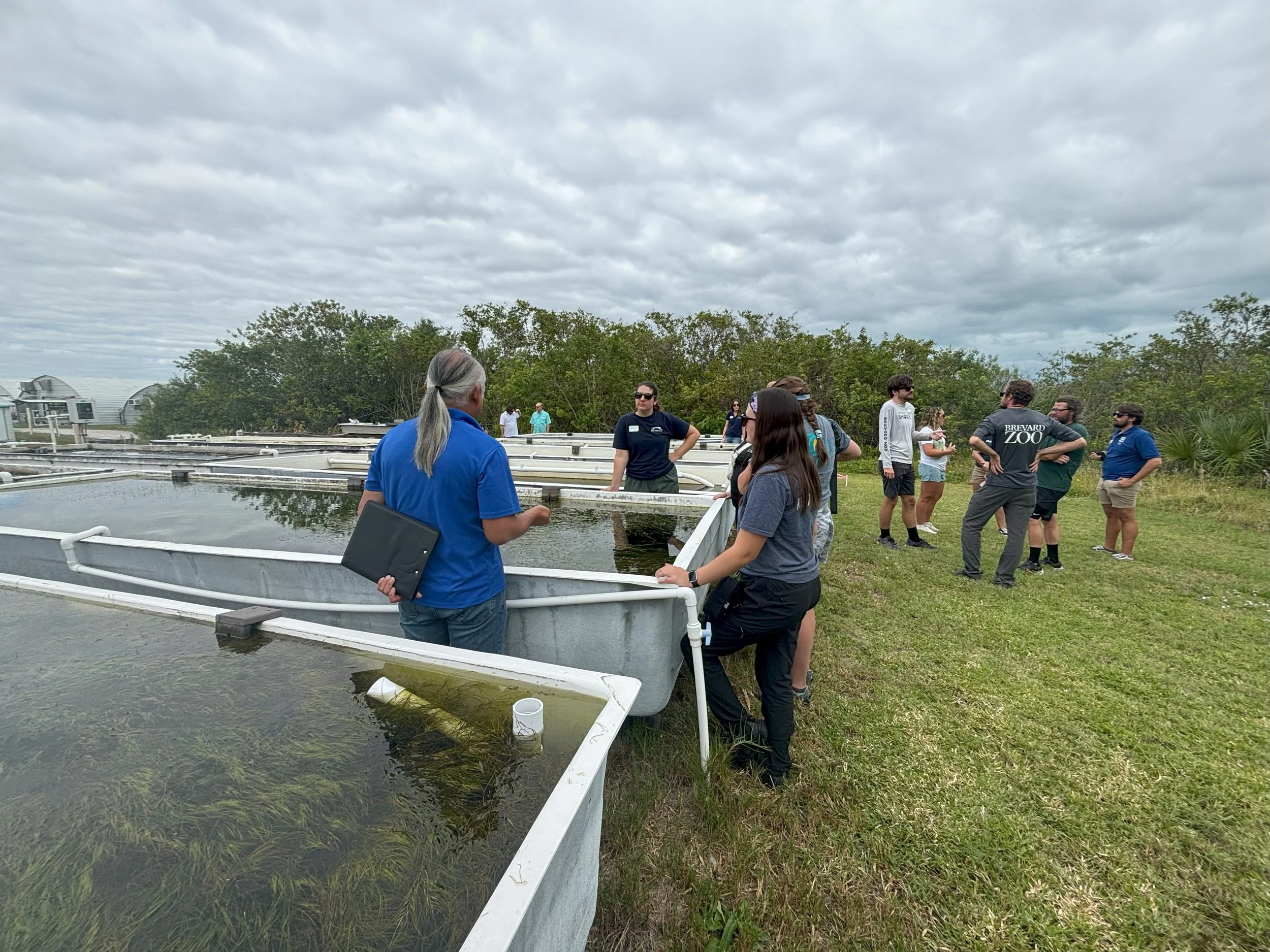Seagrass Tour.jpeg