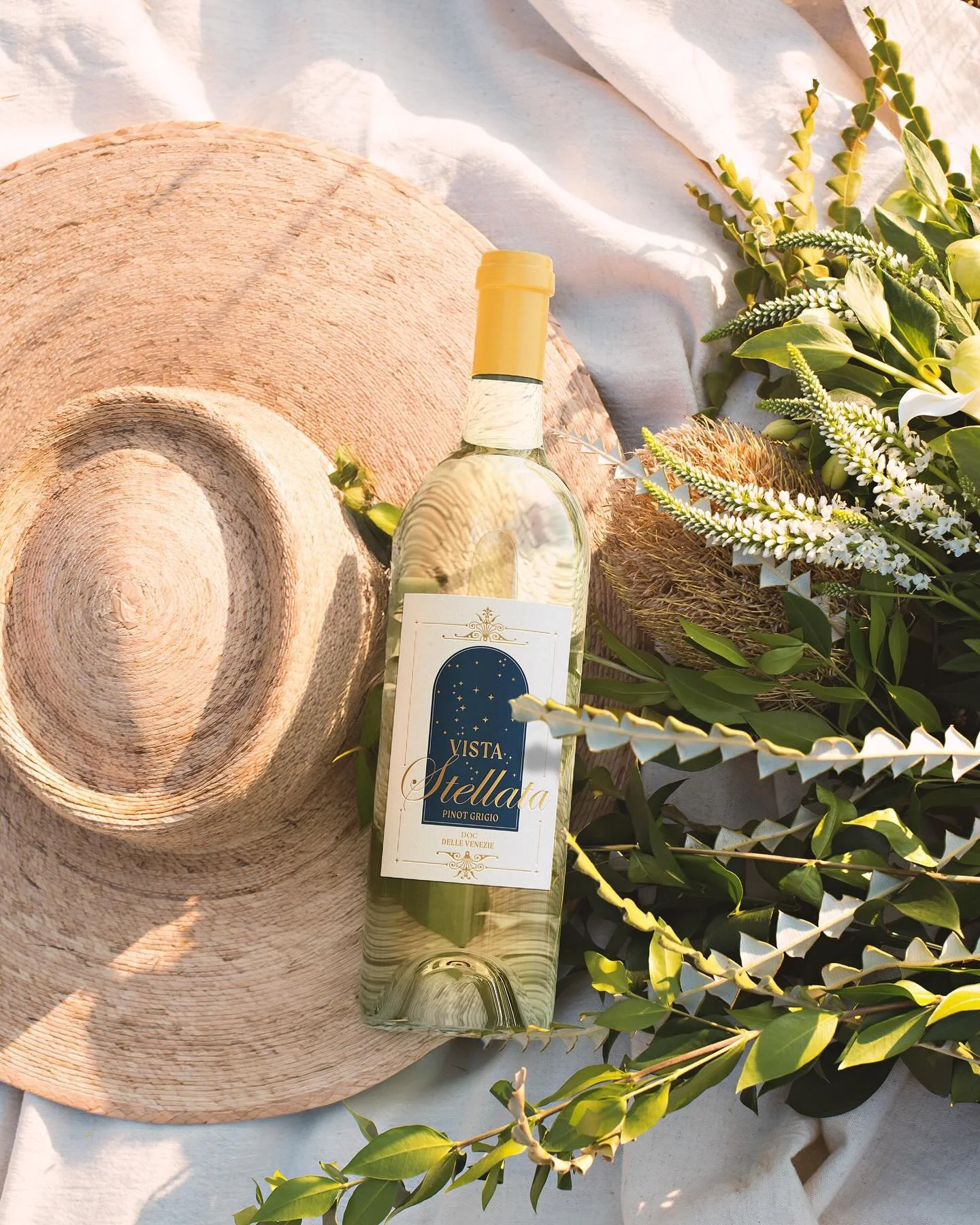 The weather may be hot, but you don&rsquo;t have to be. A chilled glass of Vista Stellata Pinot Grigio pairs perfectly with a rooftop or a patio ✨

#vistastellata #pinotgrigio #pinotgris #italianwine #whitewine #winelovers