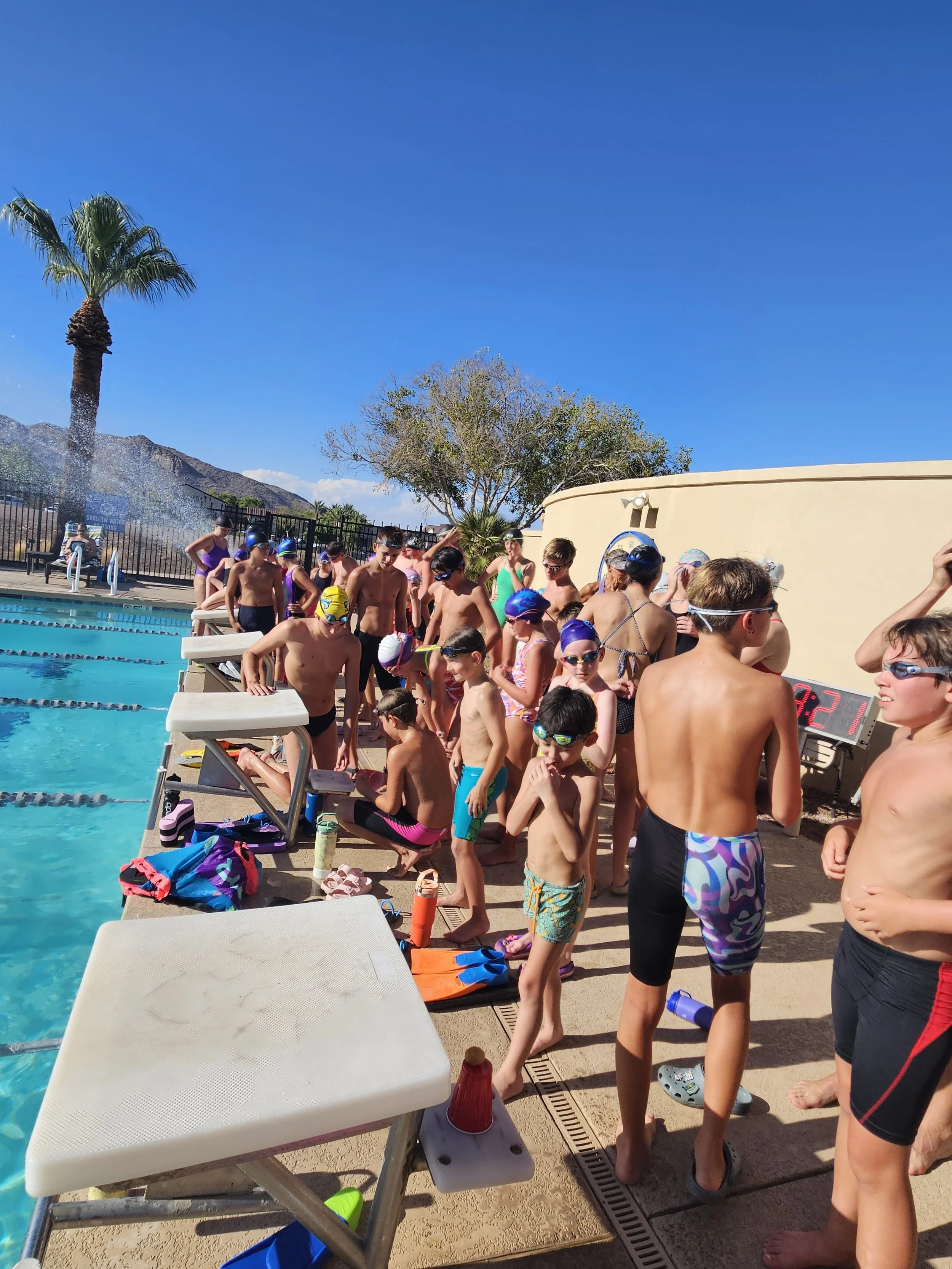 Swimmers and coaches gather at the edge of an outdoor swimming pool, preparing for a swim meet on a sunny day. Many children are wearing swimsuits, goggles, and swim caps, with some standing on starting blocks near the pool.