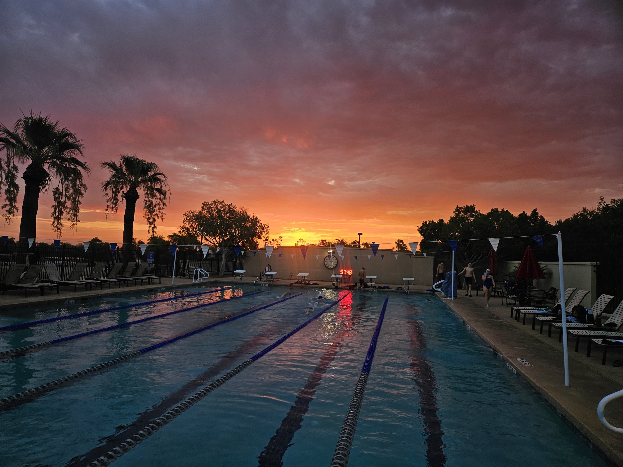 An outdoor swimming pool during sunset with a colorful sky, palm trees, and a few people around the pool.