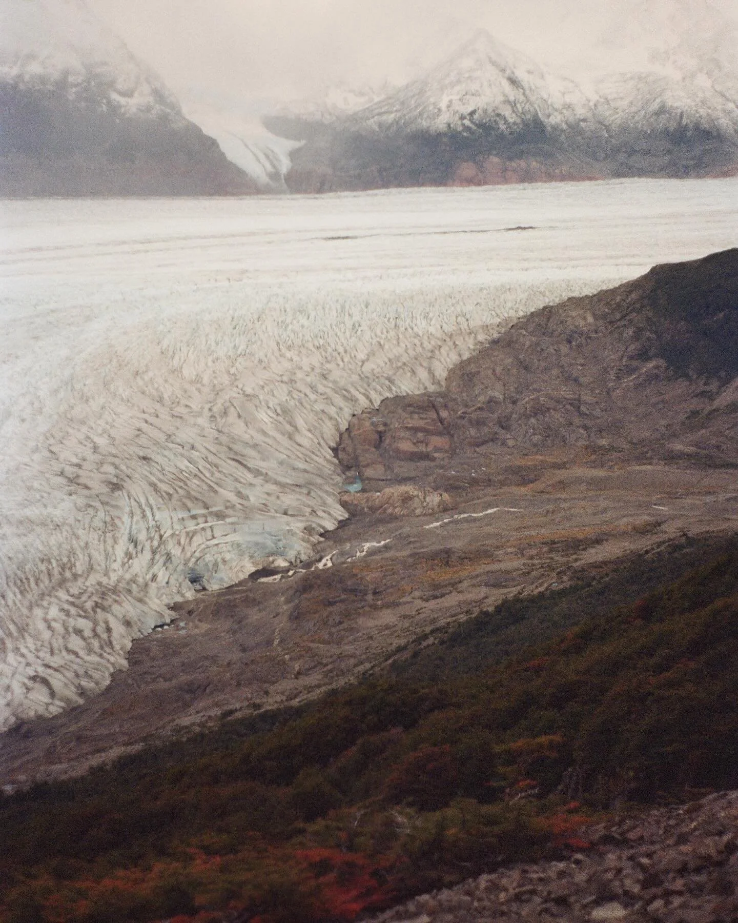 ❄️🌲

#patagonia #chile #torresdelpaine #torresdelpainenationalpark #film #filmphotography #travelphotography #traveler #lifeonfilm #embracethegrain #filmisnotdead #iphonevsfilm #pentax #35mm #35mmfilmphotography #photographydaily #nature #trek #back