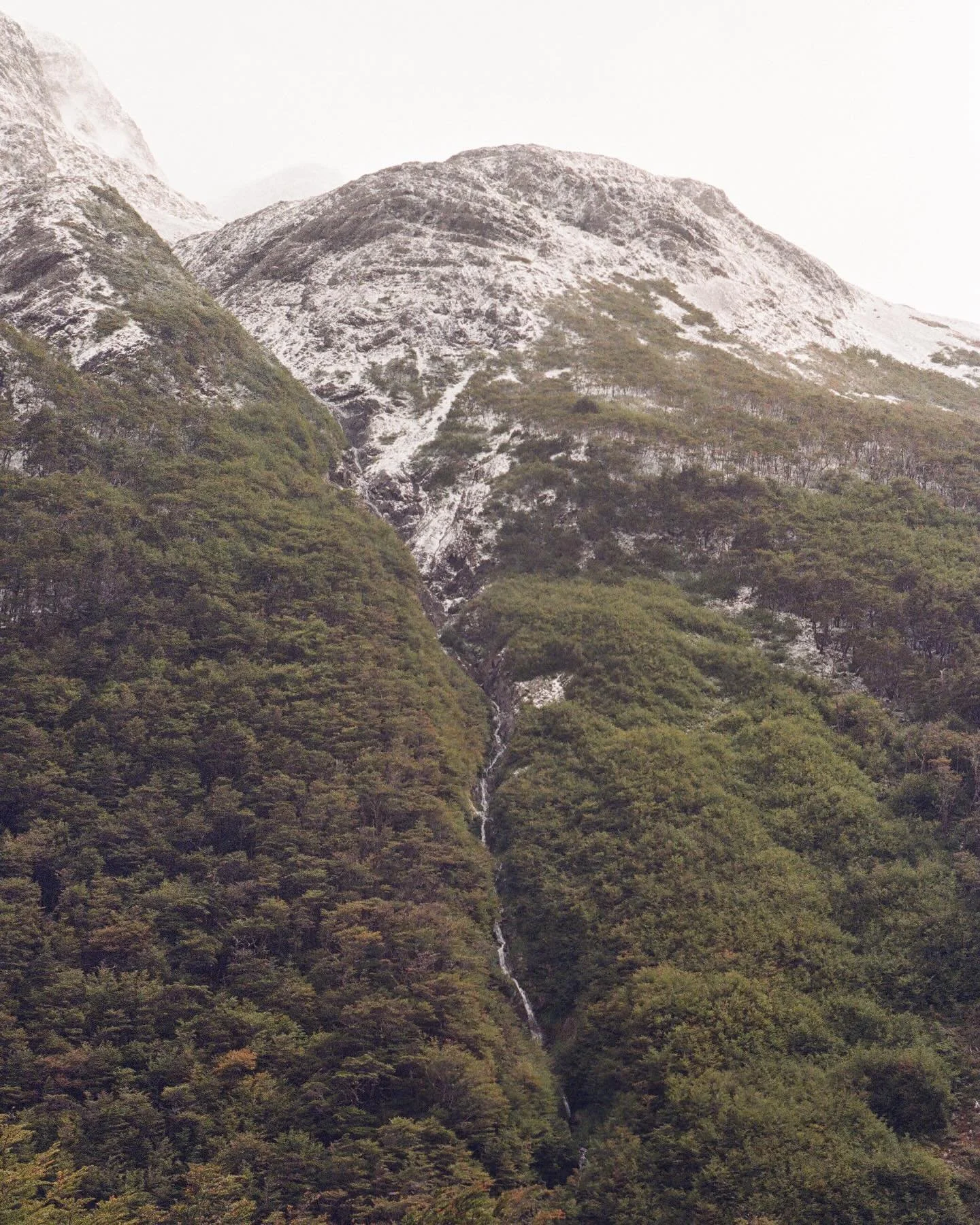 🌲🌲🌲

#patagonia #chile #torresdelpaine #torresdelpainenationalpark #film #filmphotography #travelphotography #traveler #lifeonfilm #embracethegrain #filmisnotdead #iphonevsfilm #pentax #35mm #35mmfilmphotography #photographydaily #nature #trek #ba