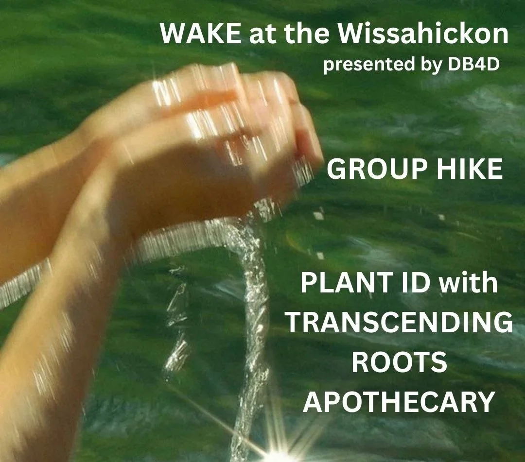 WAKE AT THE WISSAHICKON