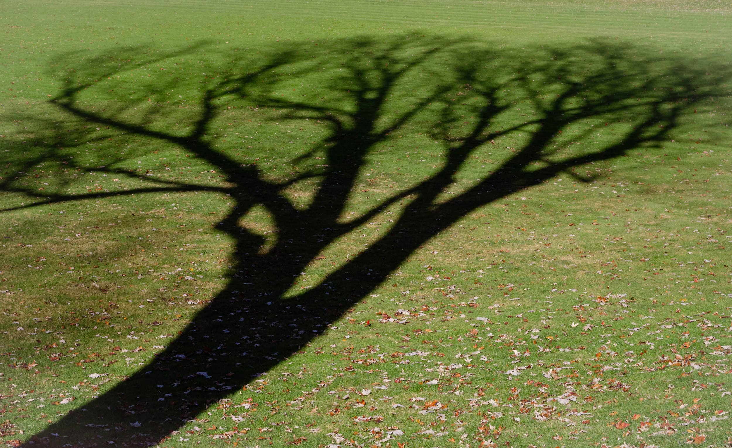 walk-1-13.jpg