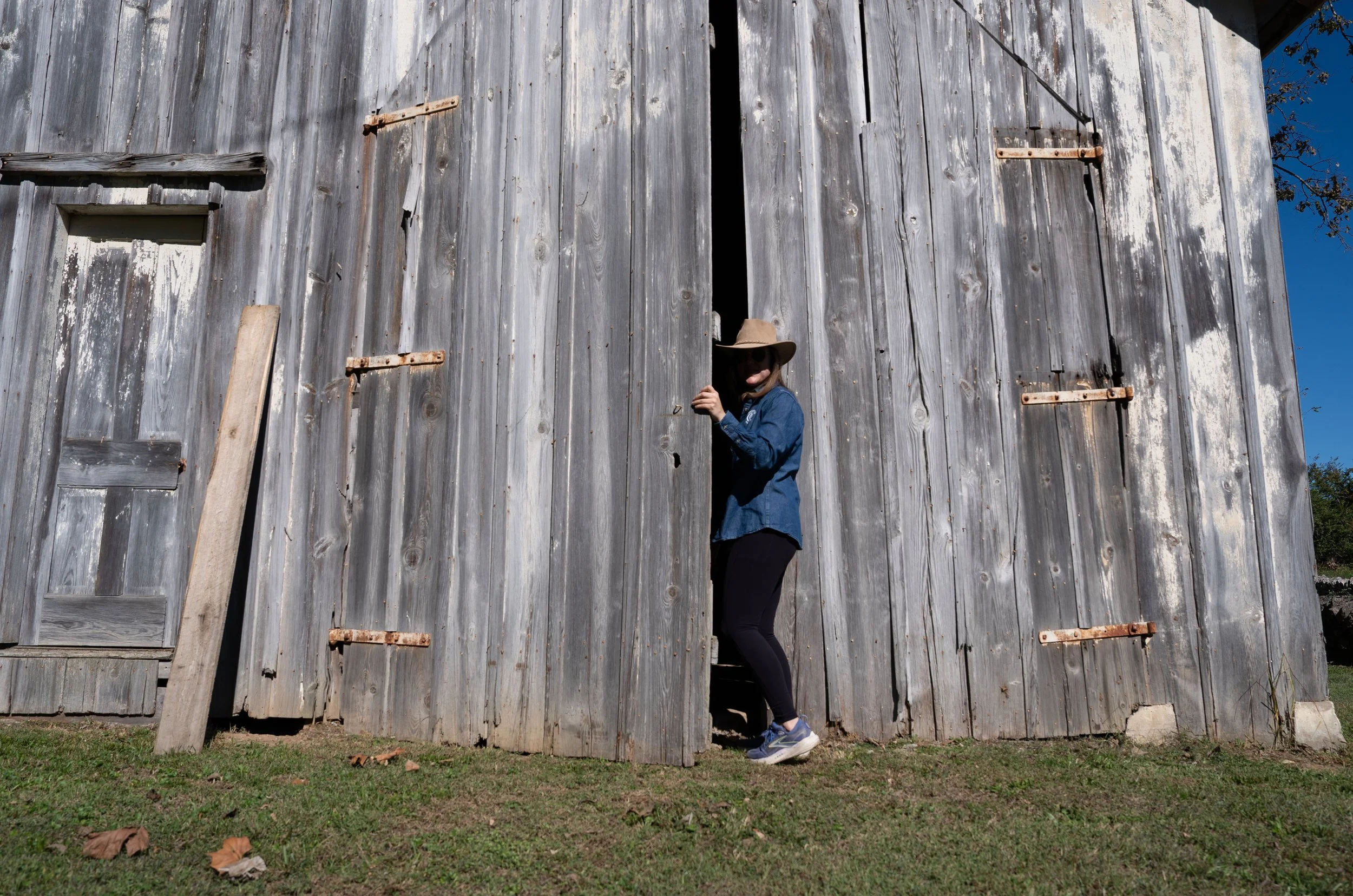 
Nini Edwards closes the door of the scale barn at Harkness Edwards Vineyards on Oct. 21, 2026 in Winchester, KY. Built in 1910, the scale inside of the barn was used to weigh the tobacco produced on the farm. Now, it is used to weigh the grapes harv