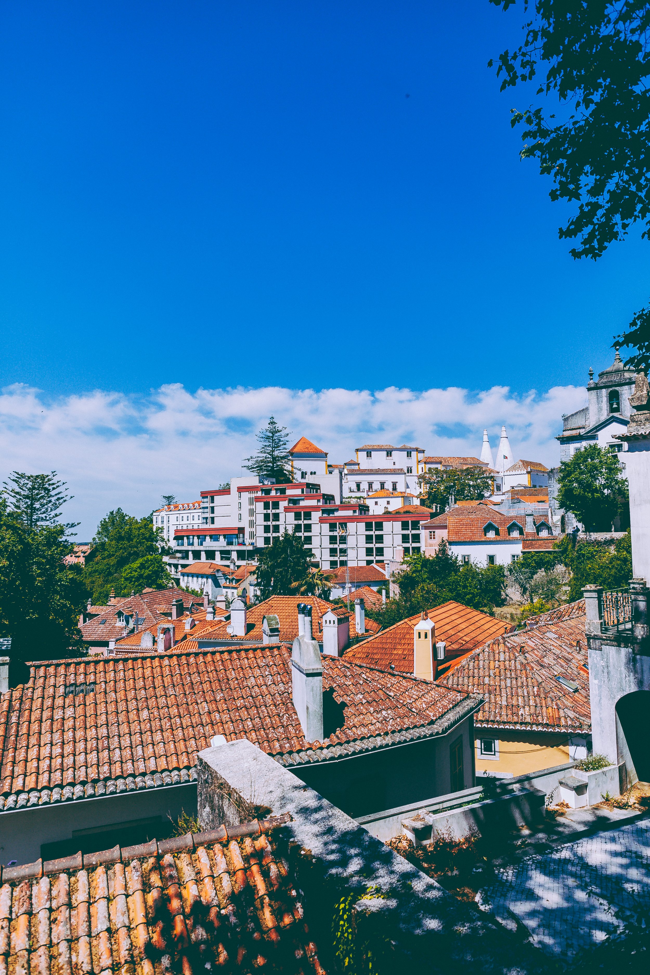 _MG_4443.jpg