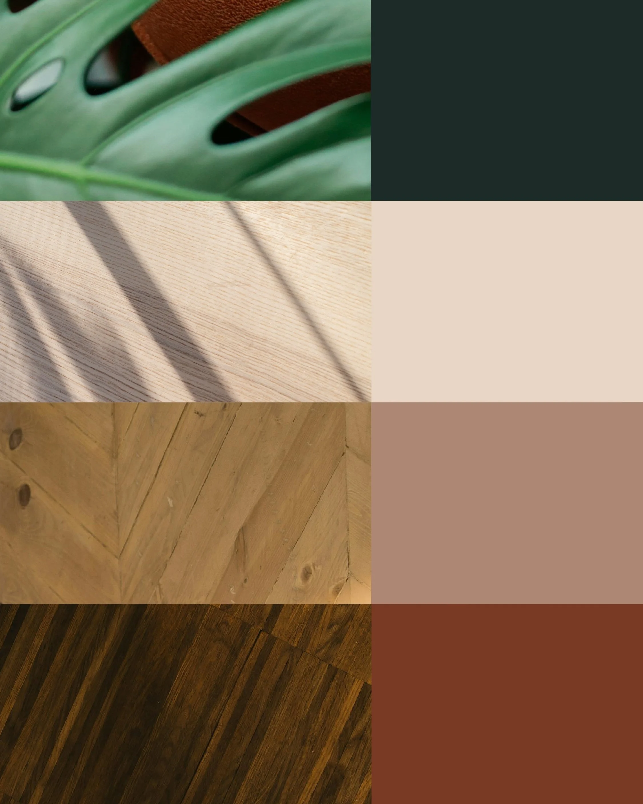 Paleta de cores da marca Manoela Kalif