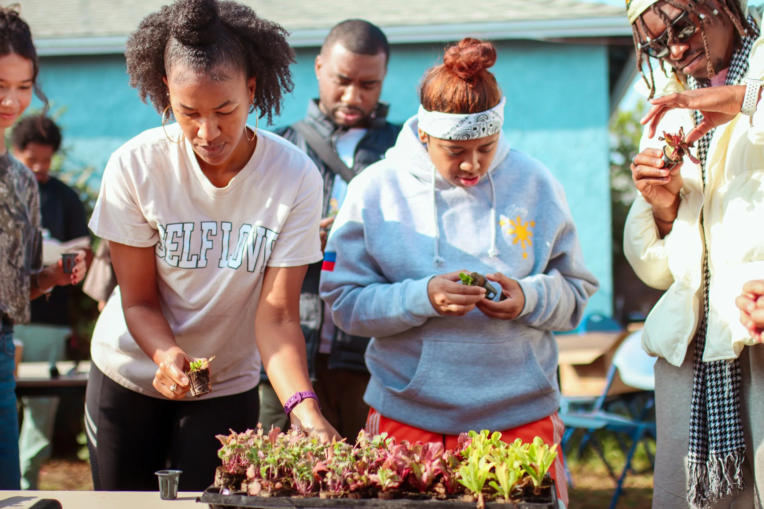 Group of people planting seedlings in small pots outdoors on a sunny day with a blue building in the background.