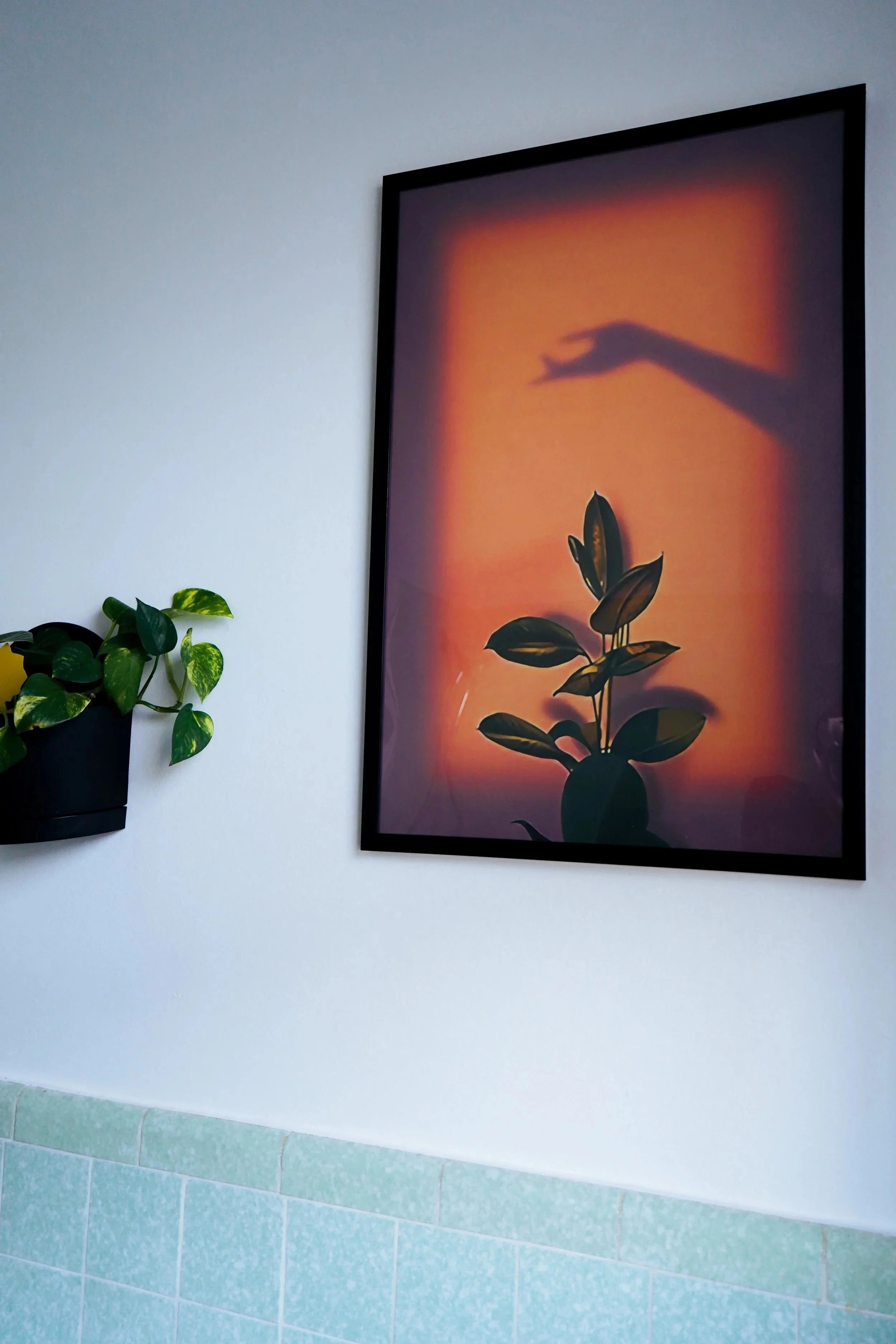A framed artwork of a plant's silhouette against a warm orange background, with a shadow of a hand reaching towards it on the wall.