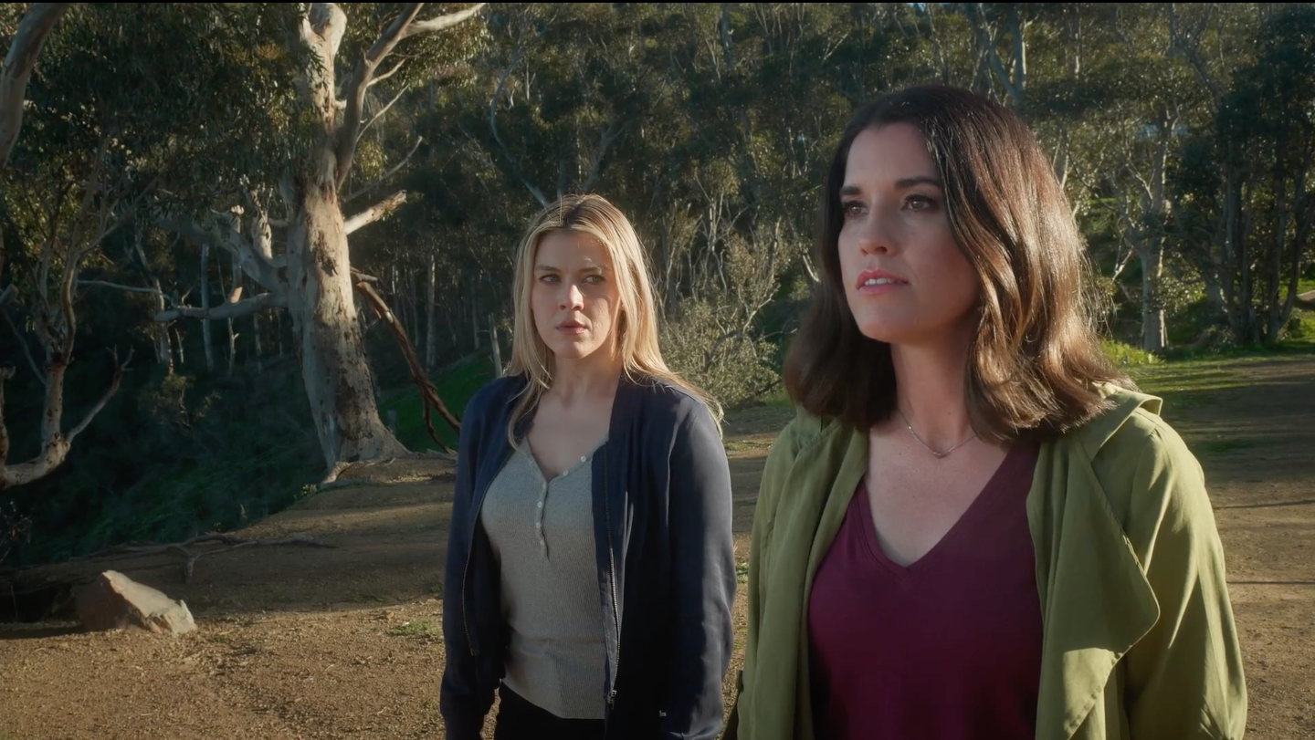 Screen Shot 2024-08-30 at 9.41.14 PM.png