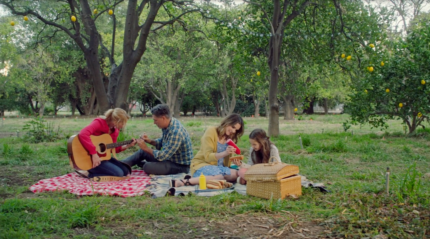 Screen Shot 2024-08-30 at 2.38.33 PM.png