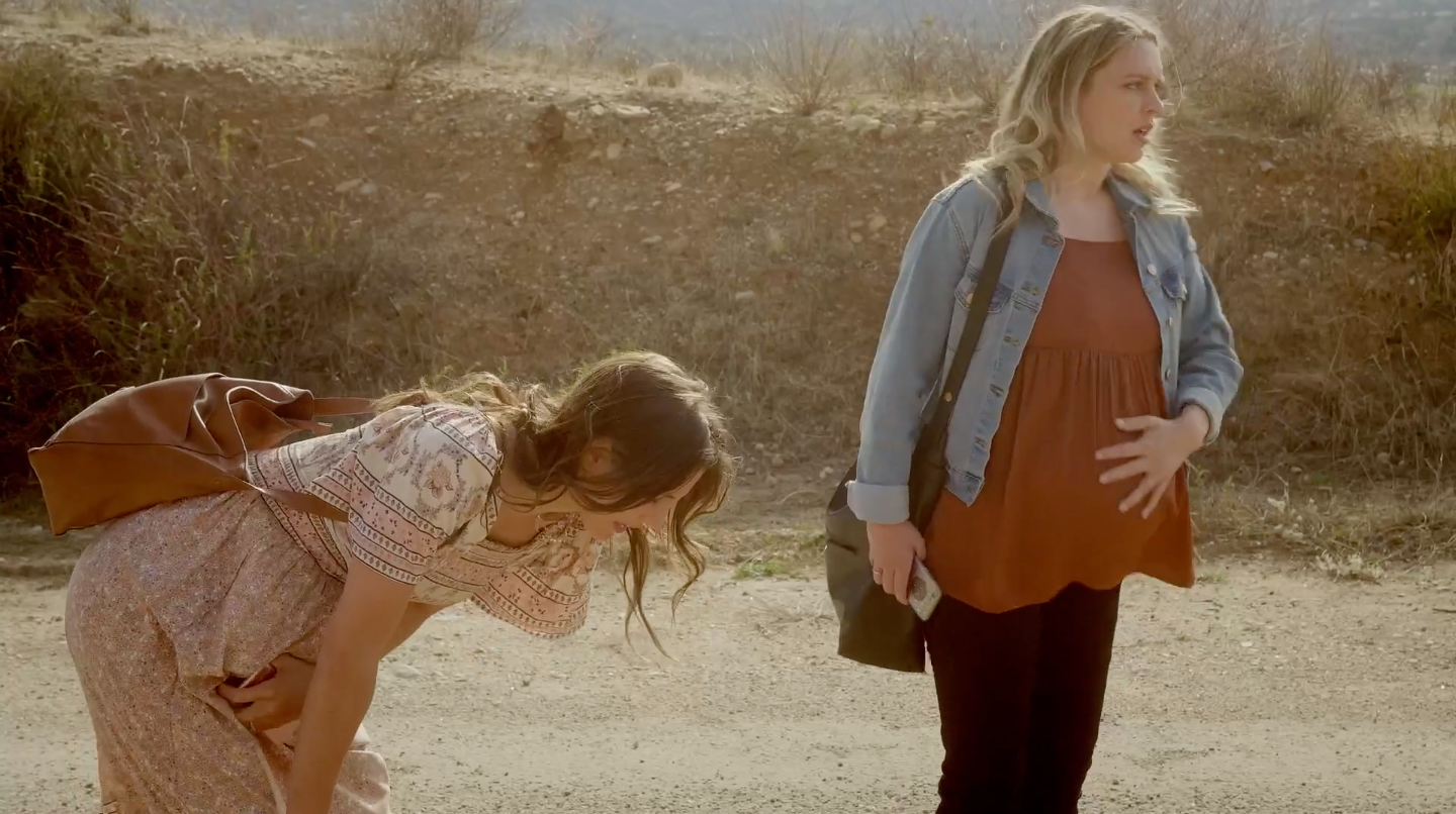 Screen Shot 2024-08-30 at 4.06.47 PM.png