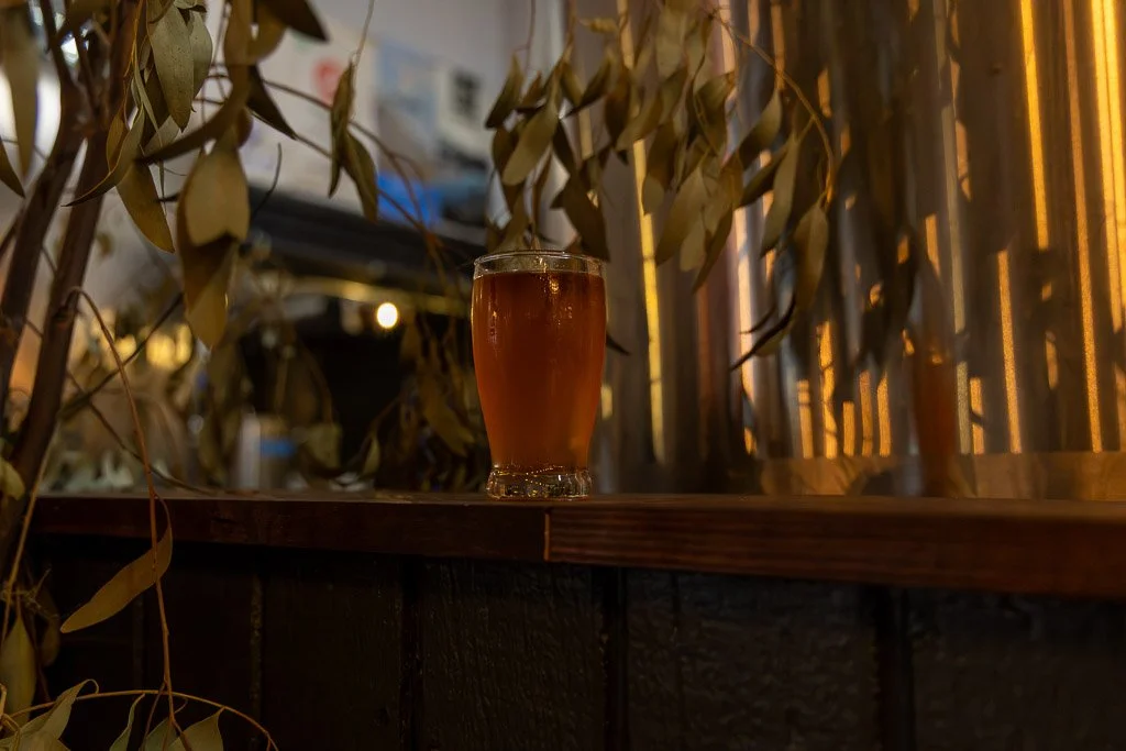 Wildman_ Brewing-8.jpg