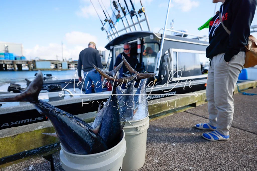 a bucket of tuna tails and a few gentlemen on a boat after the Washington Tuna Classic