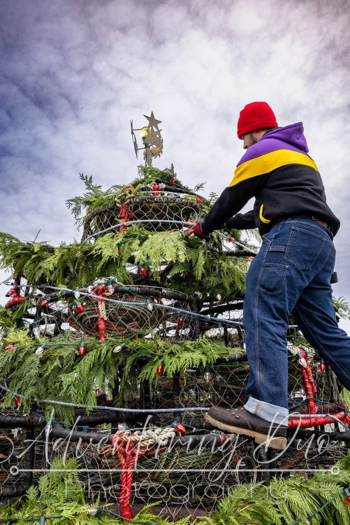 City worker wrapping garland and lights on the Crabpot Christmas tree that sits at the Westport Marina
